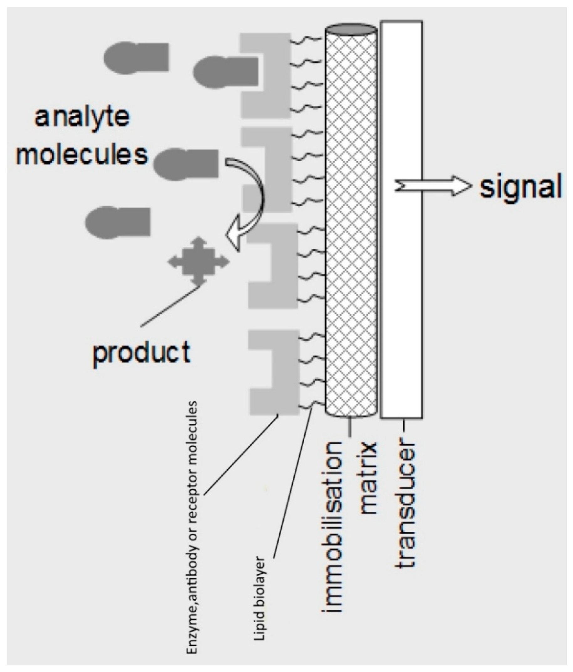 Biosensors 08 00061 g001
