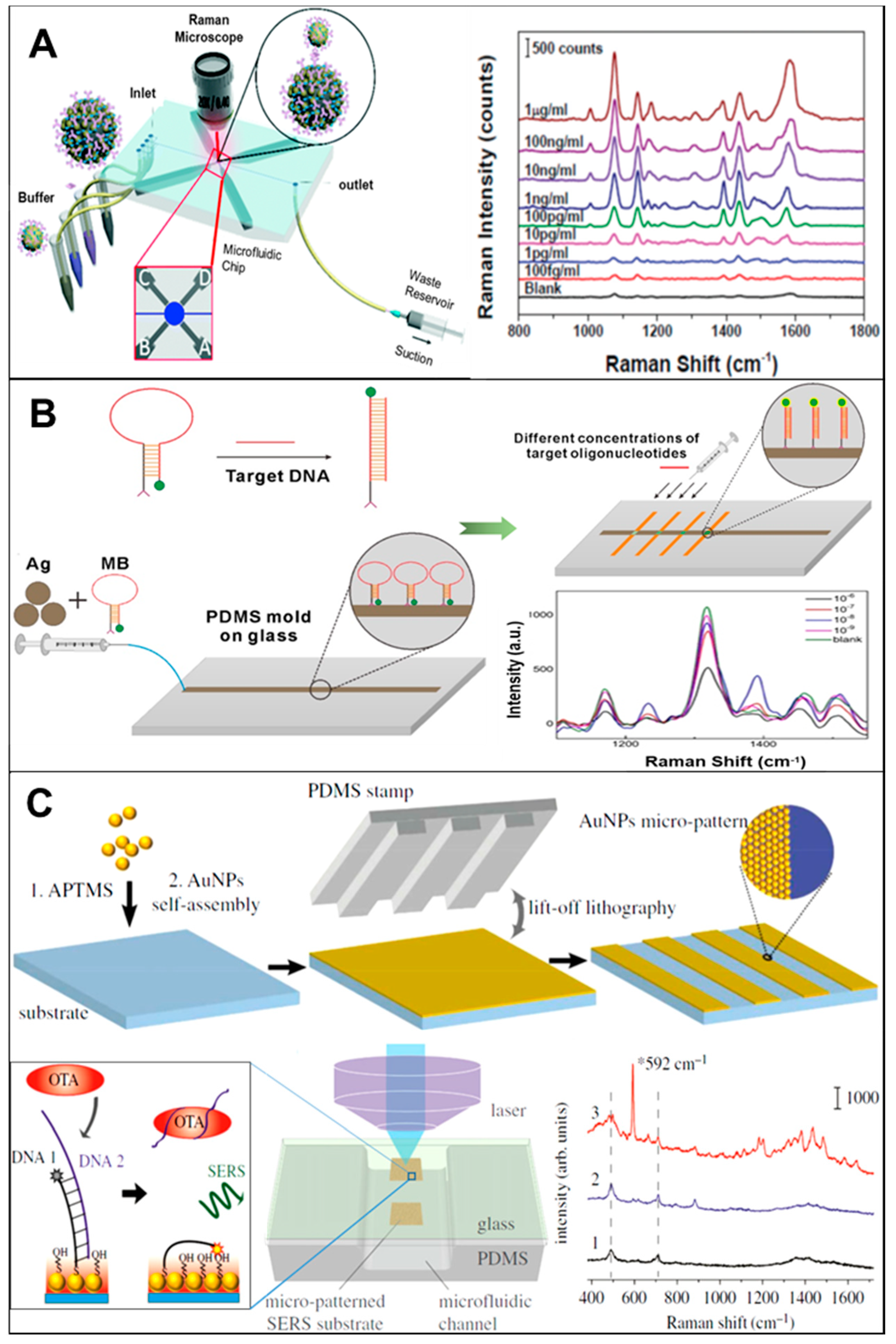 Biosensors 08 00062 g003