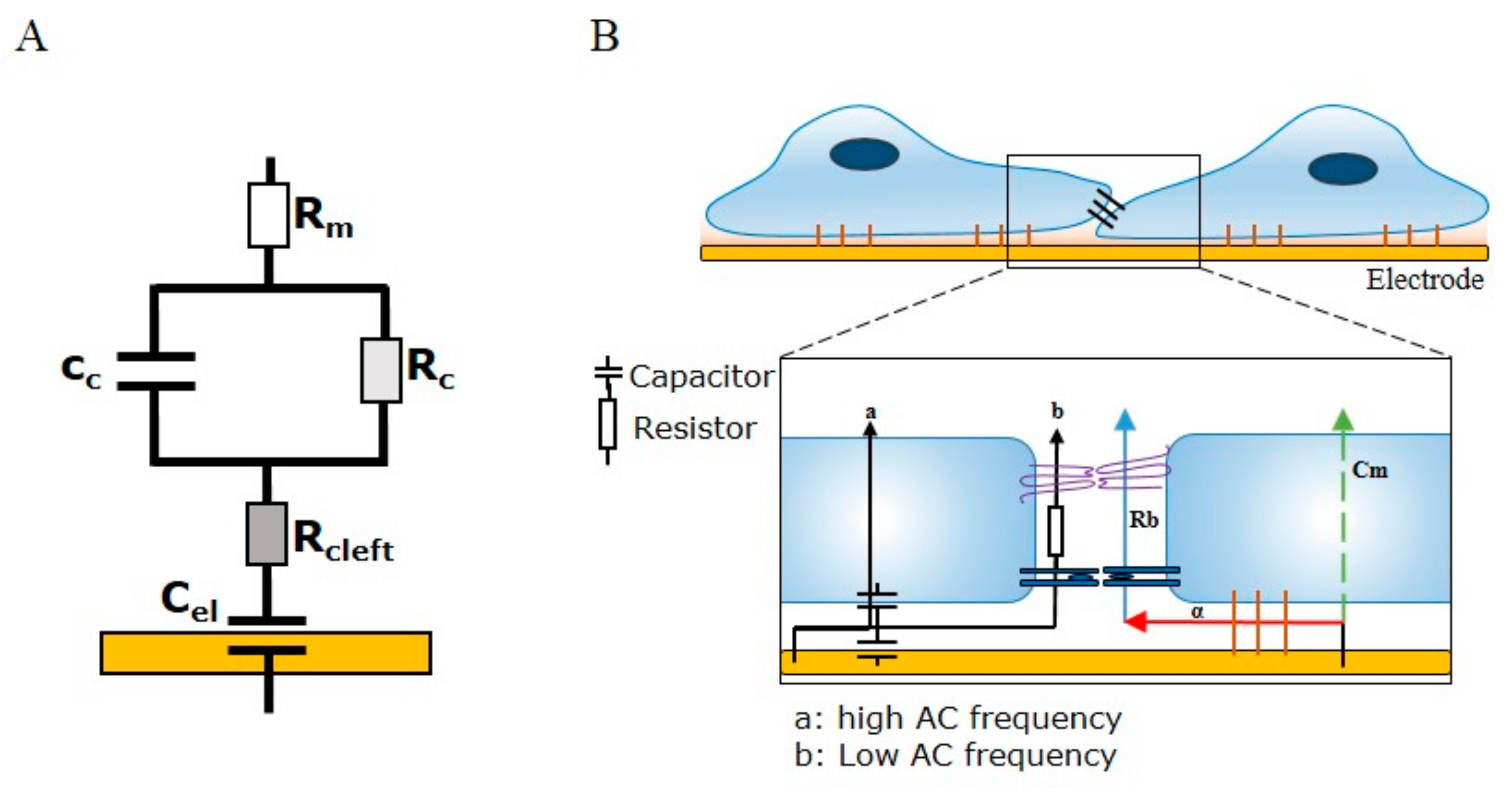 Biosensors 08 00064 g001