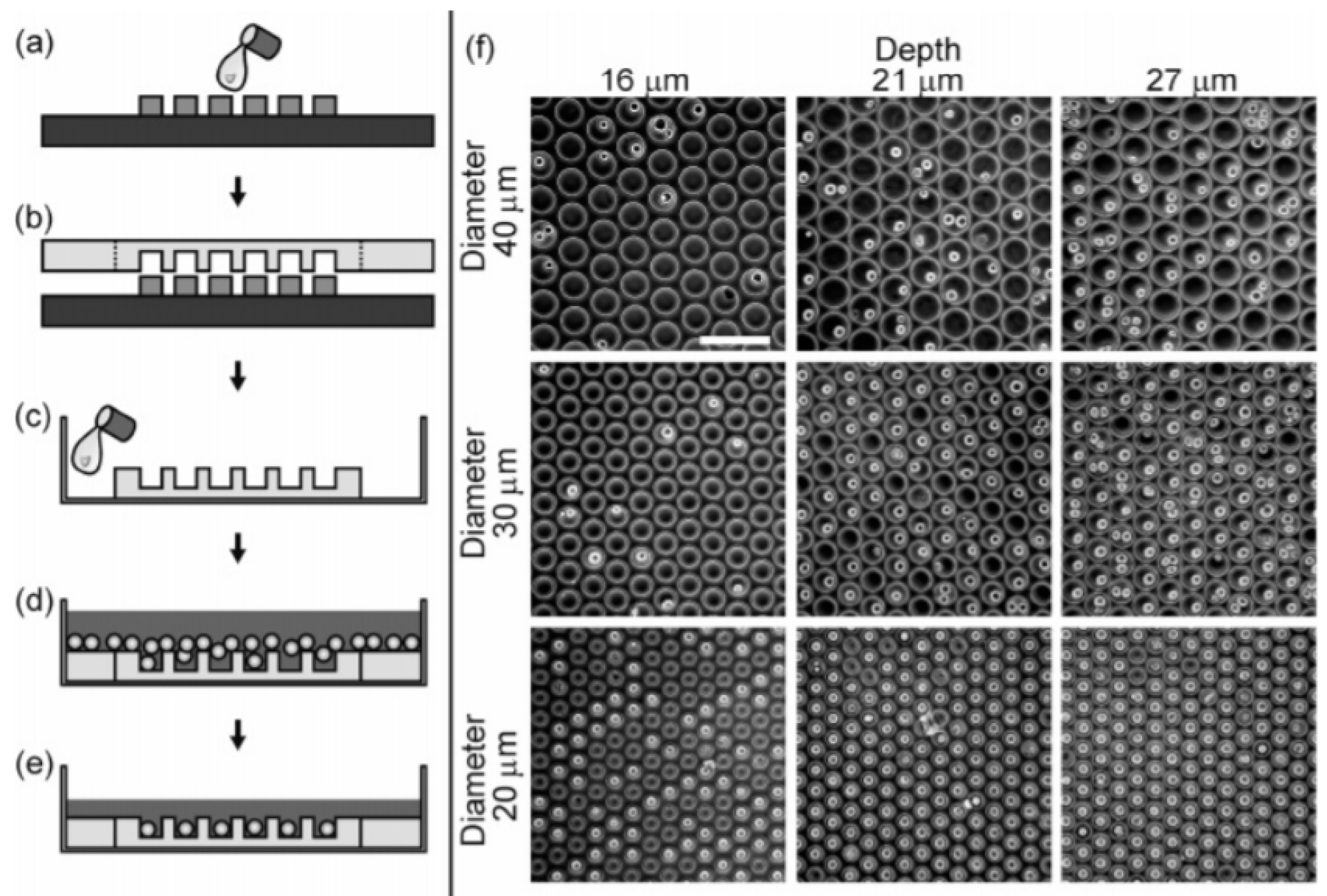 Biosensors 08 00065 g003 Biosensors 08 00065 g003