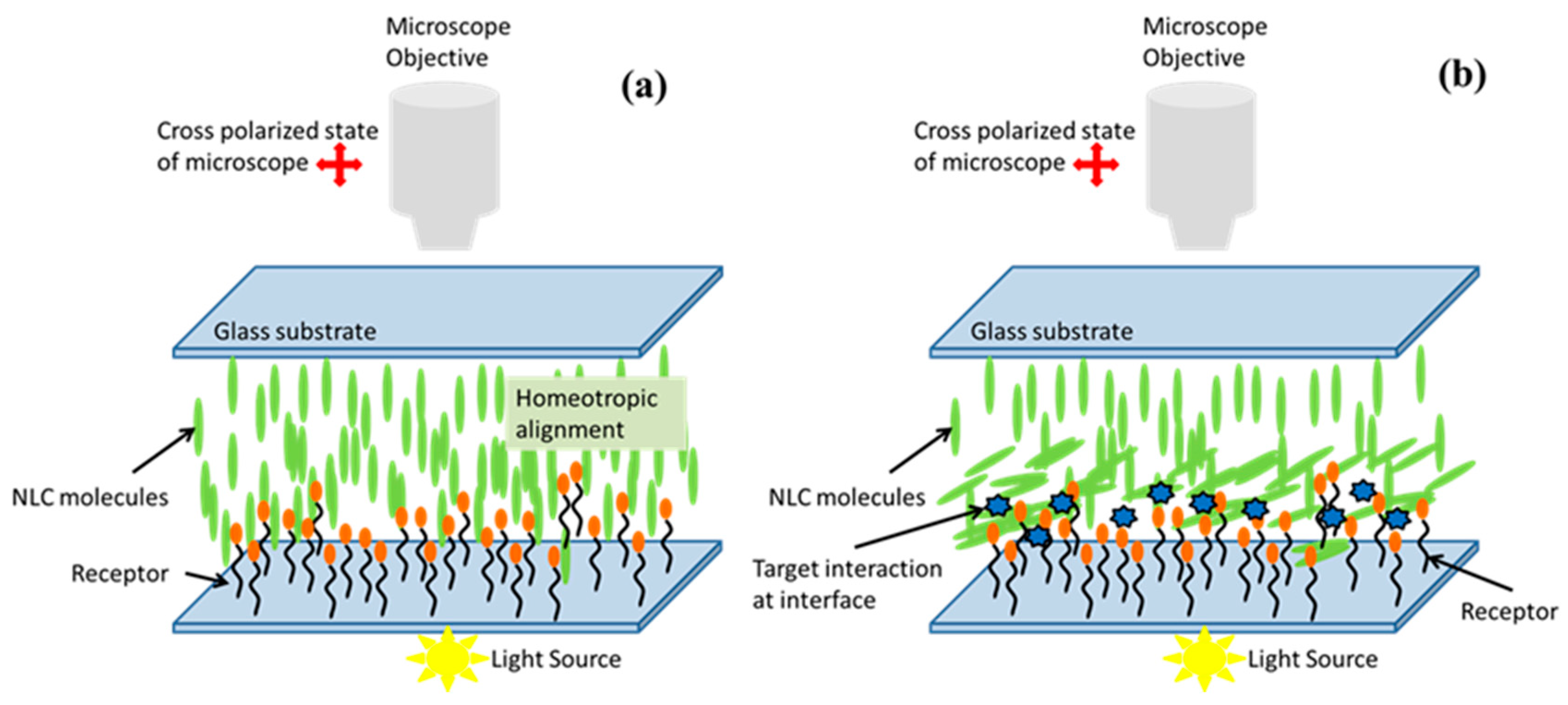 Biosensors 08 00069 g008 Biosensors 08 00069 g008