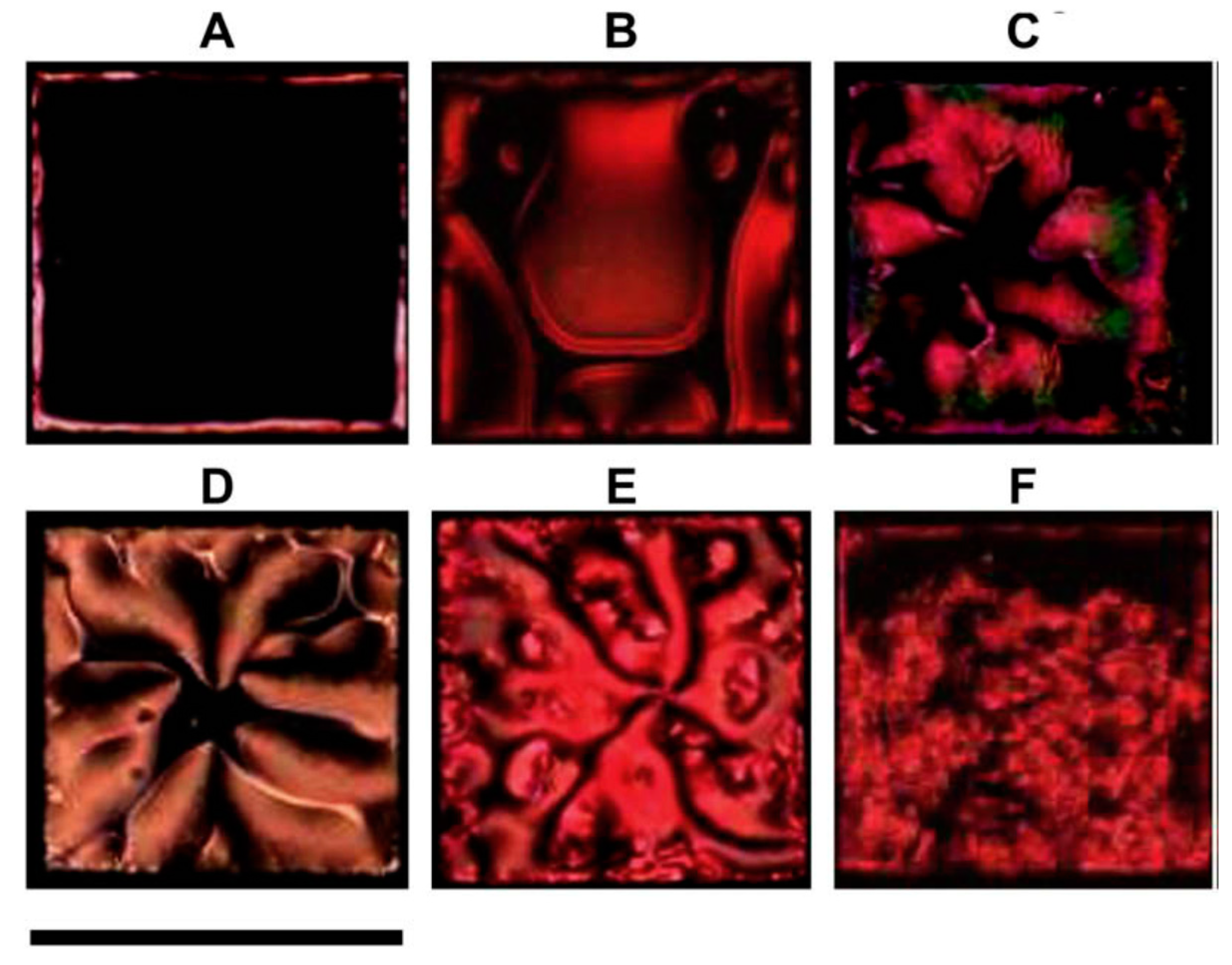 Biosensors 08 00069 g011 Biosensors 08 00069 g011