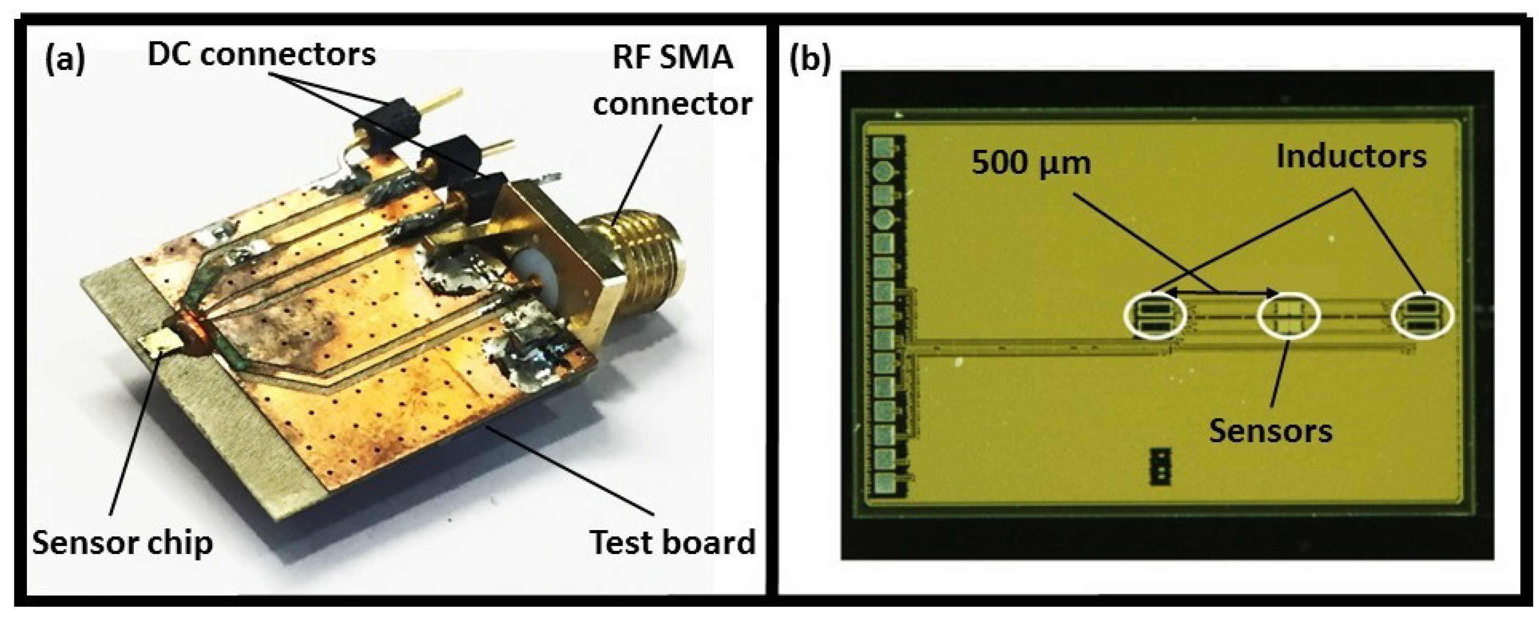 Biosensors 08 00078 g001 Biosensors 08 00078 g001