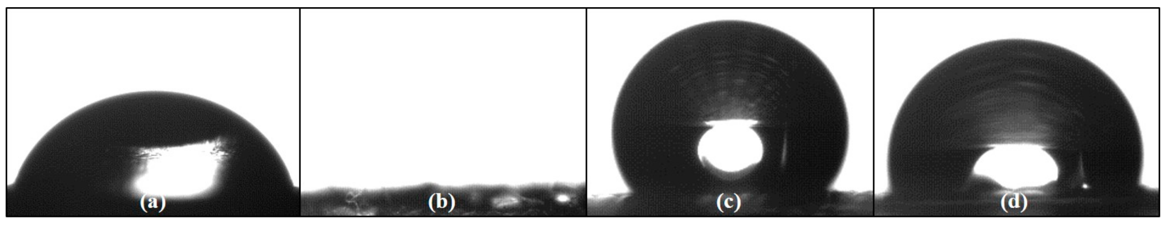 Biosensors 08 00079 g004