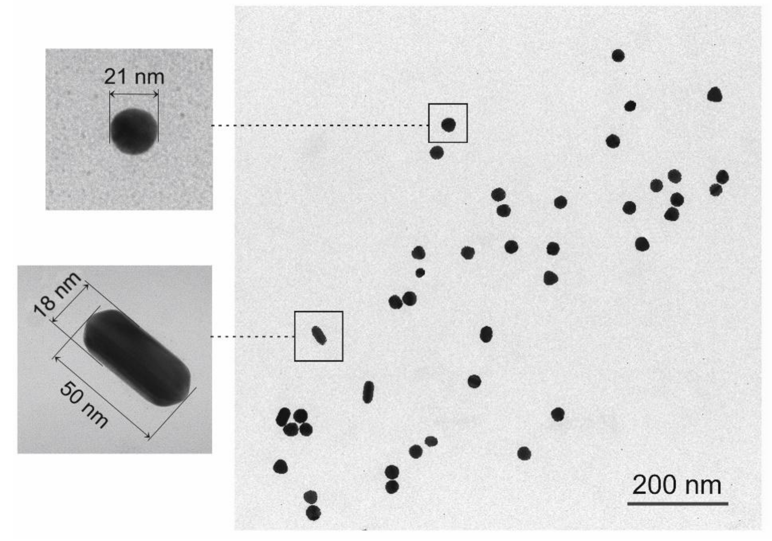 Biosensors 08 00087 g001
