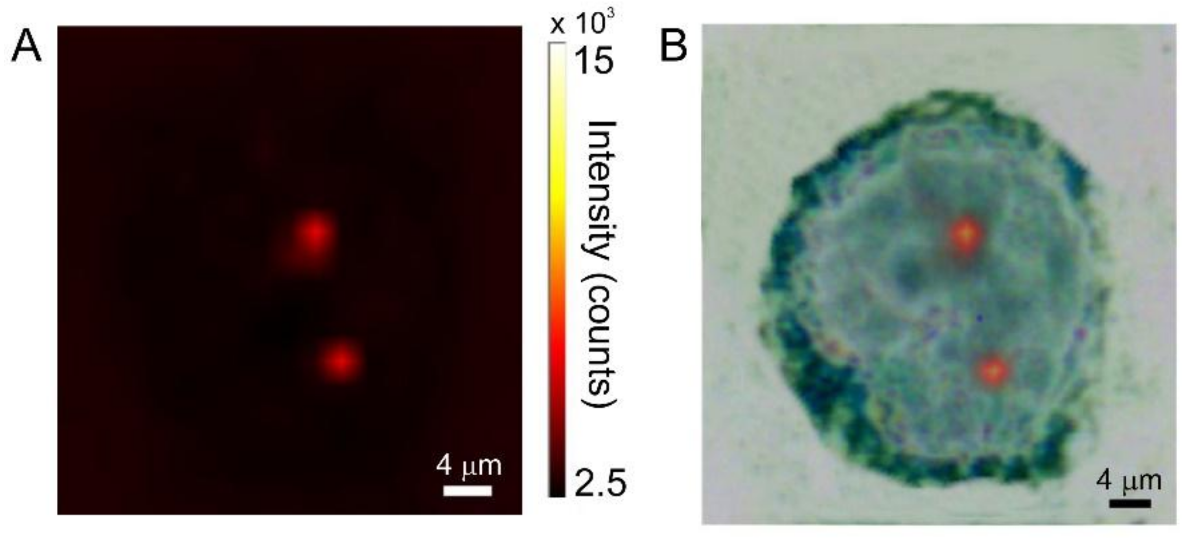Biosensors 08 00087 g007