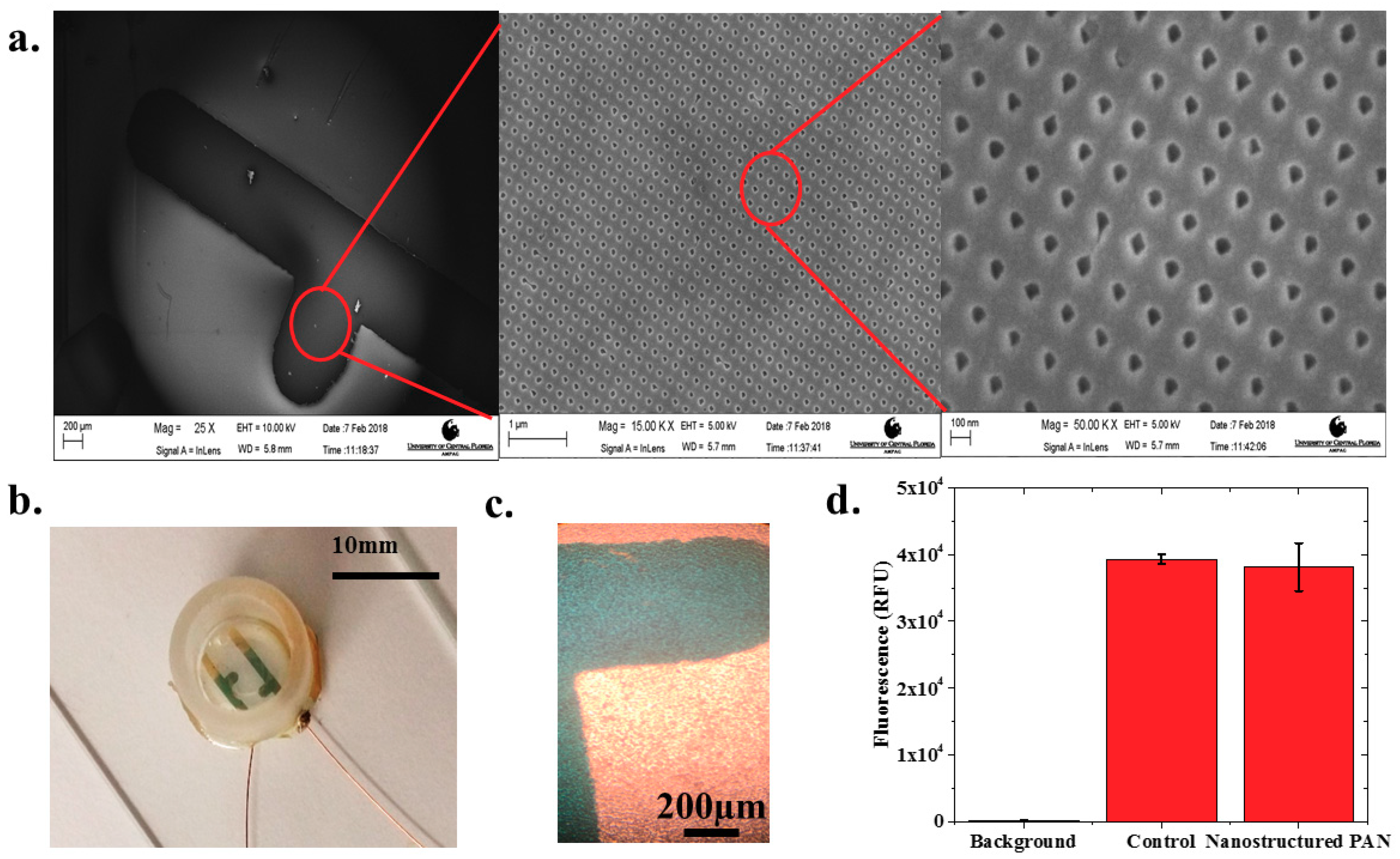 Biosensors 08 00088 g002 Biosensors 08 00088 g002