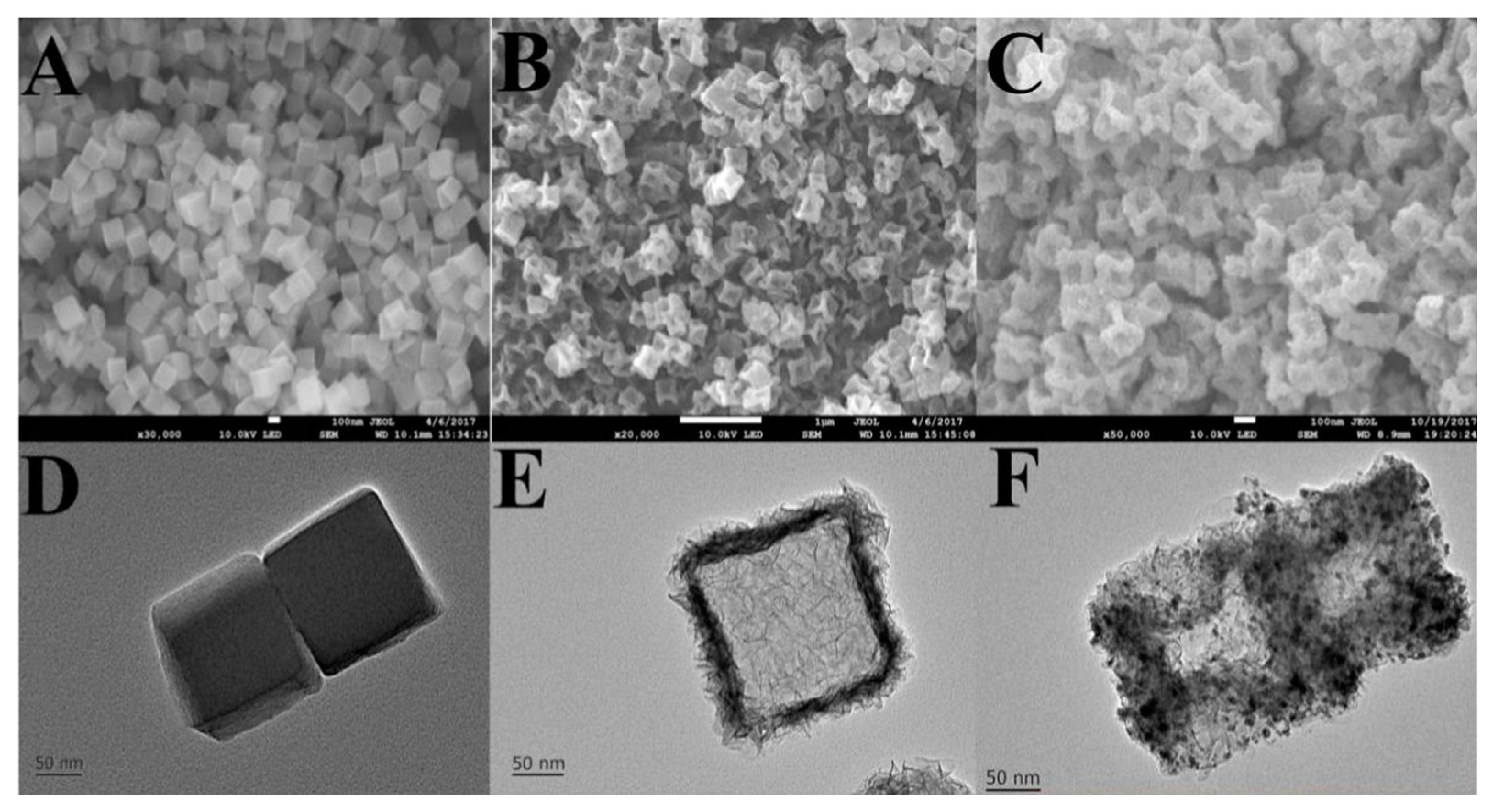 Biosensors 08 00092 g005