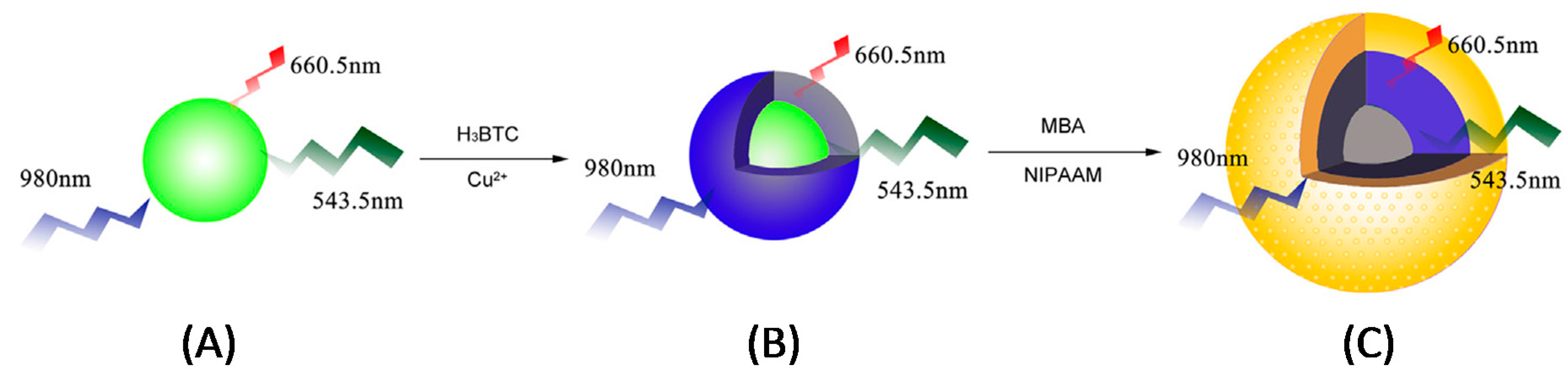 Biosensors 08 00092 g006