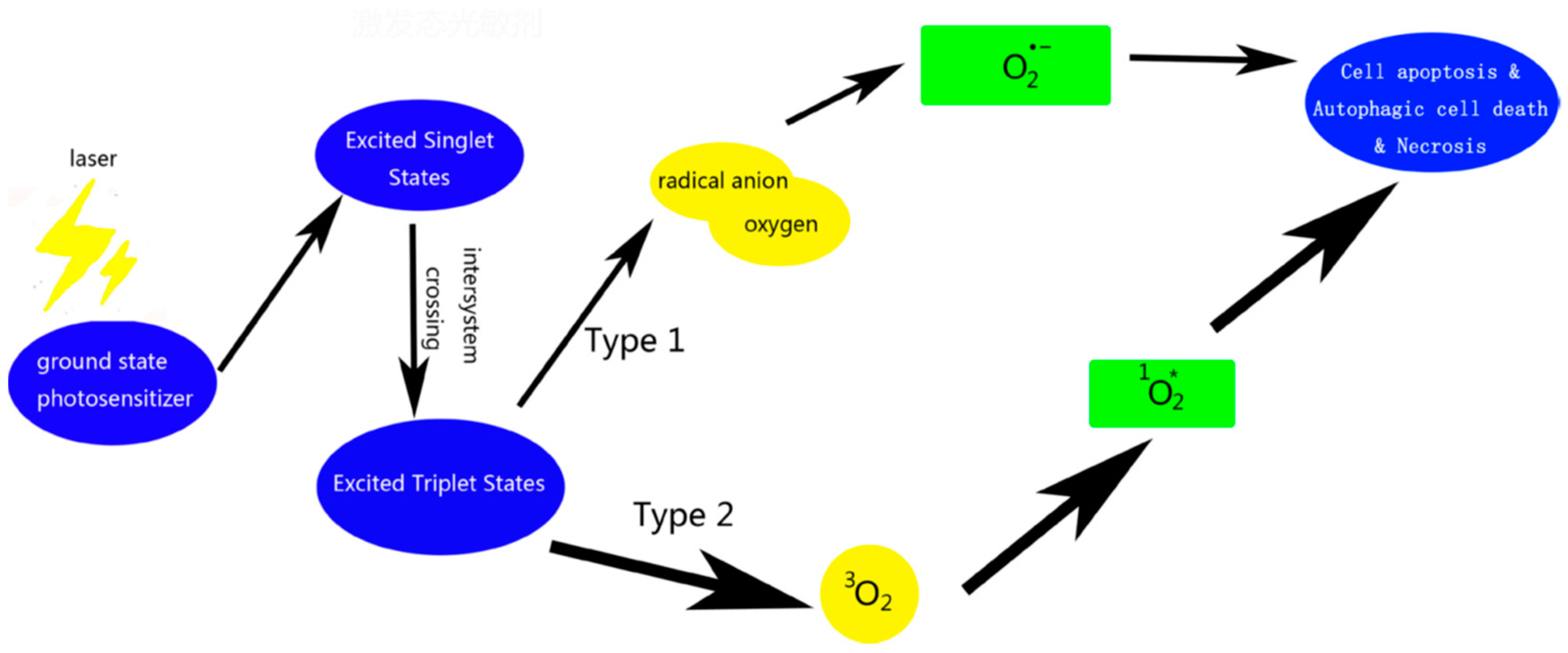 Biosensors 08 00095 g007