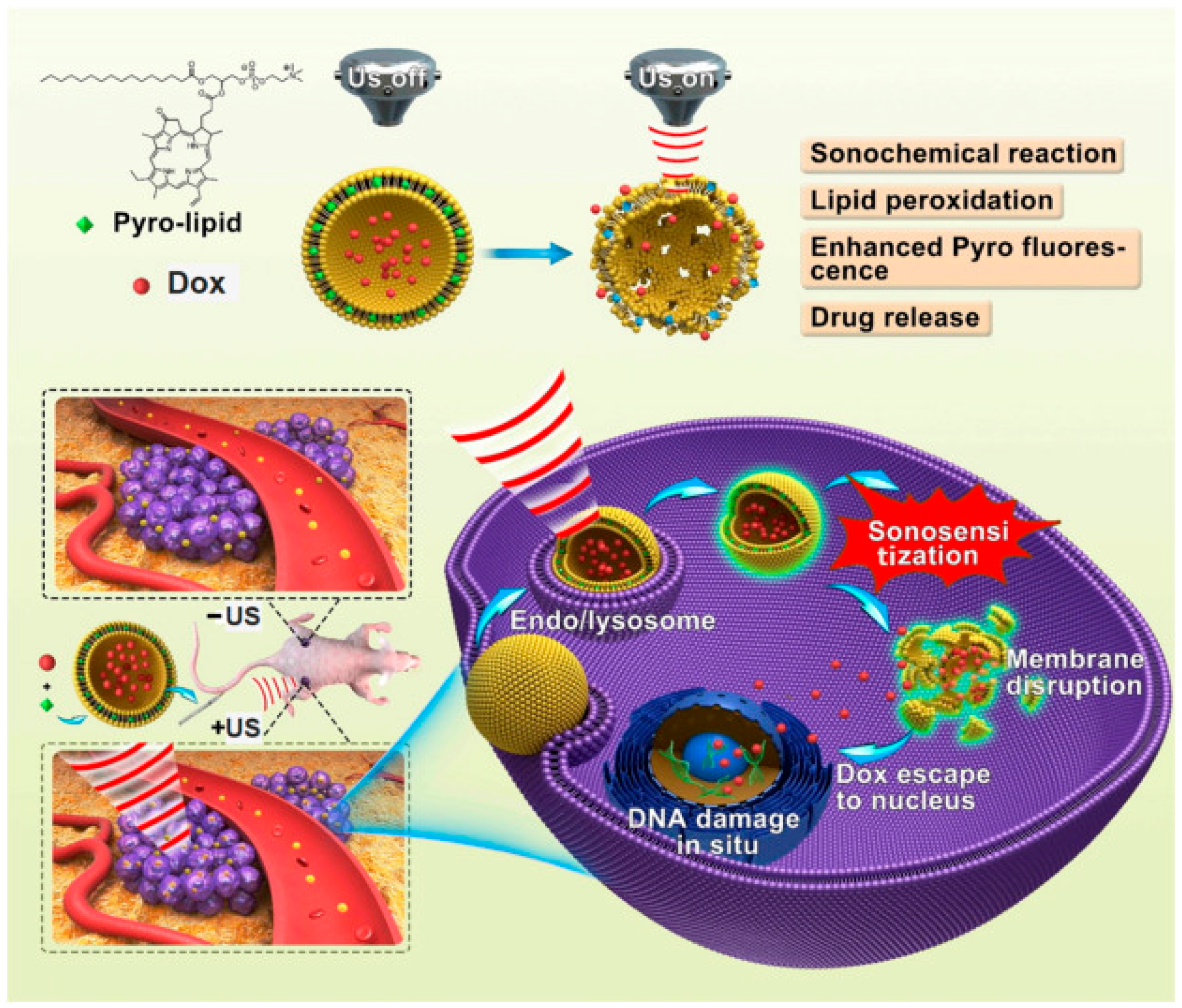 Biosensors 08 00095 g008