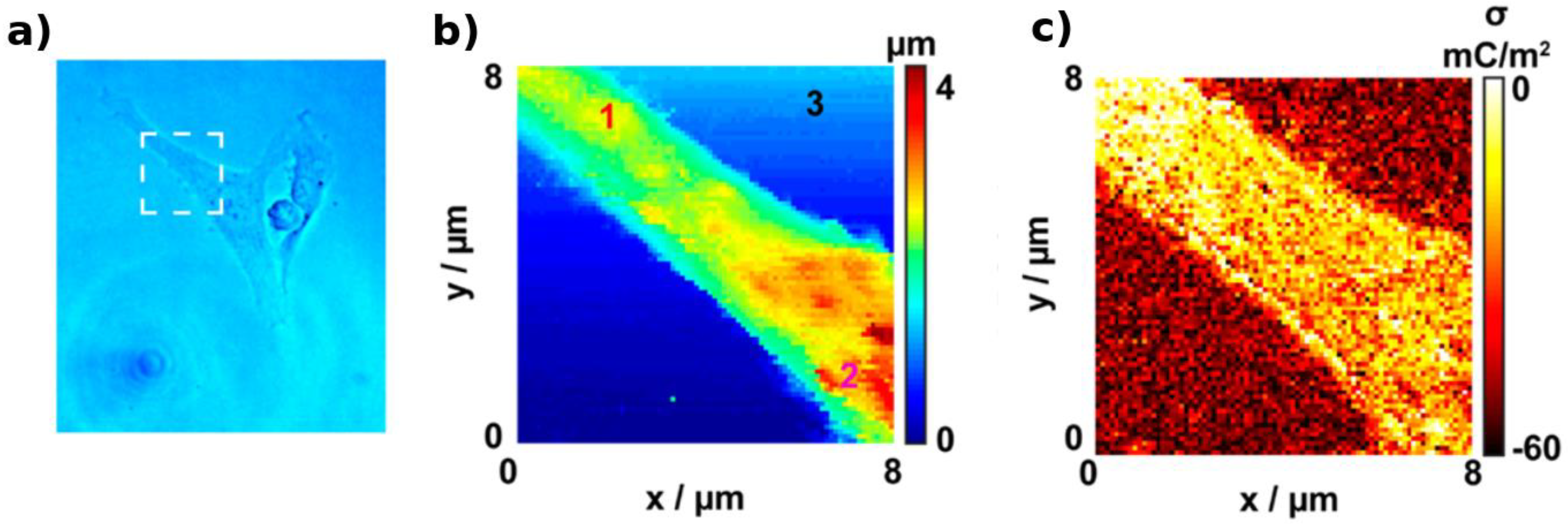 Biosensors 08 00100 g003 Biosensors 08 00100 g003
