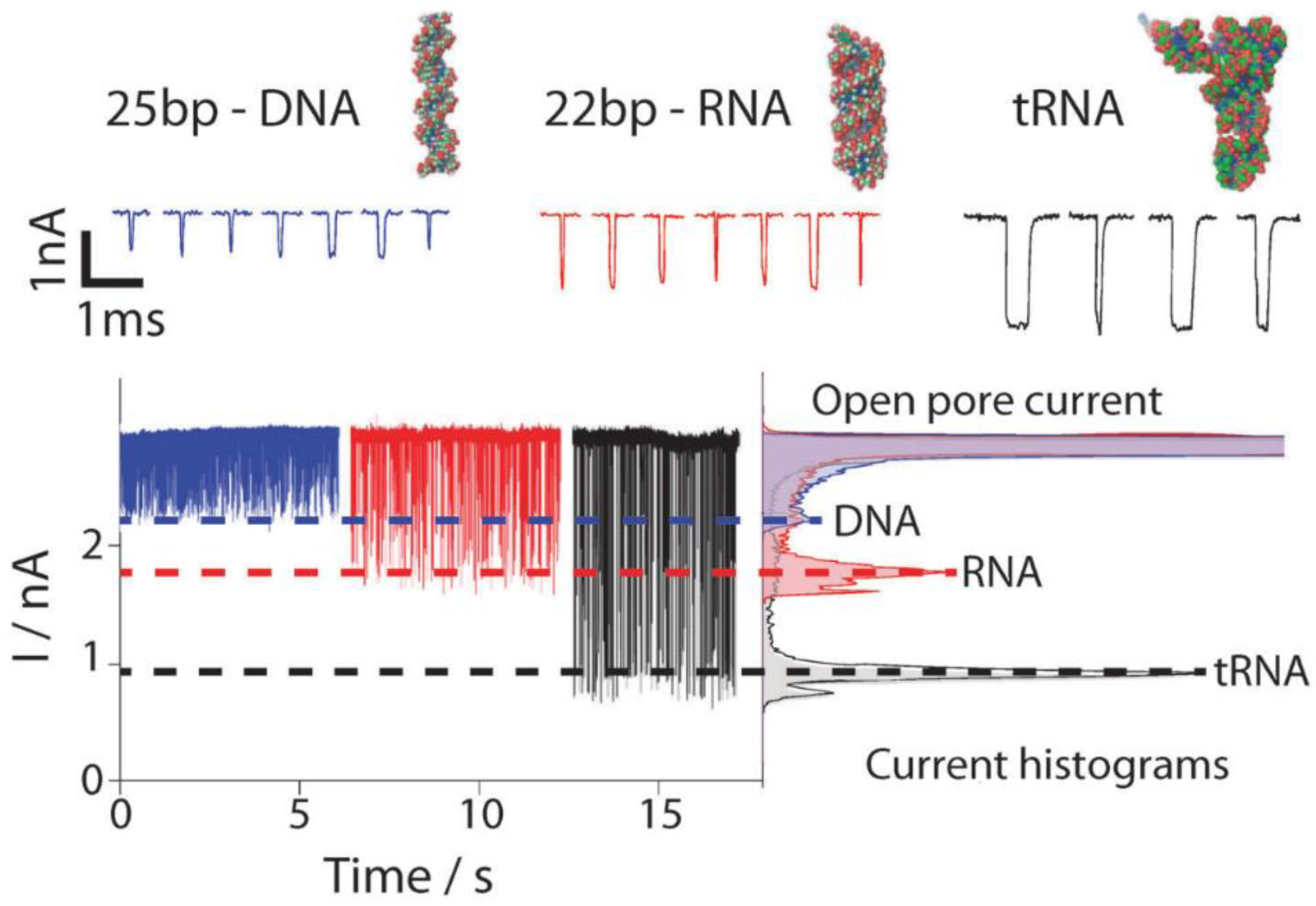 Biosensors 08 00100 g005 Biosensors 08 00100 g005