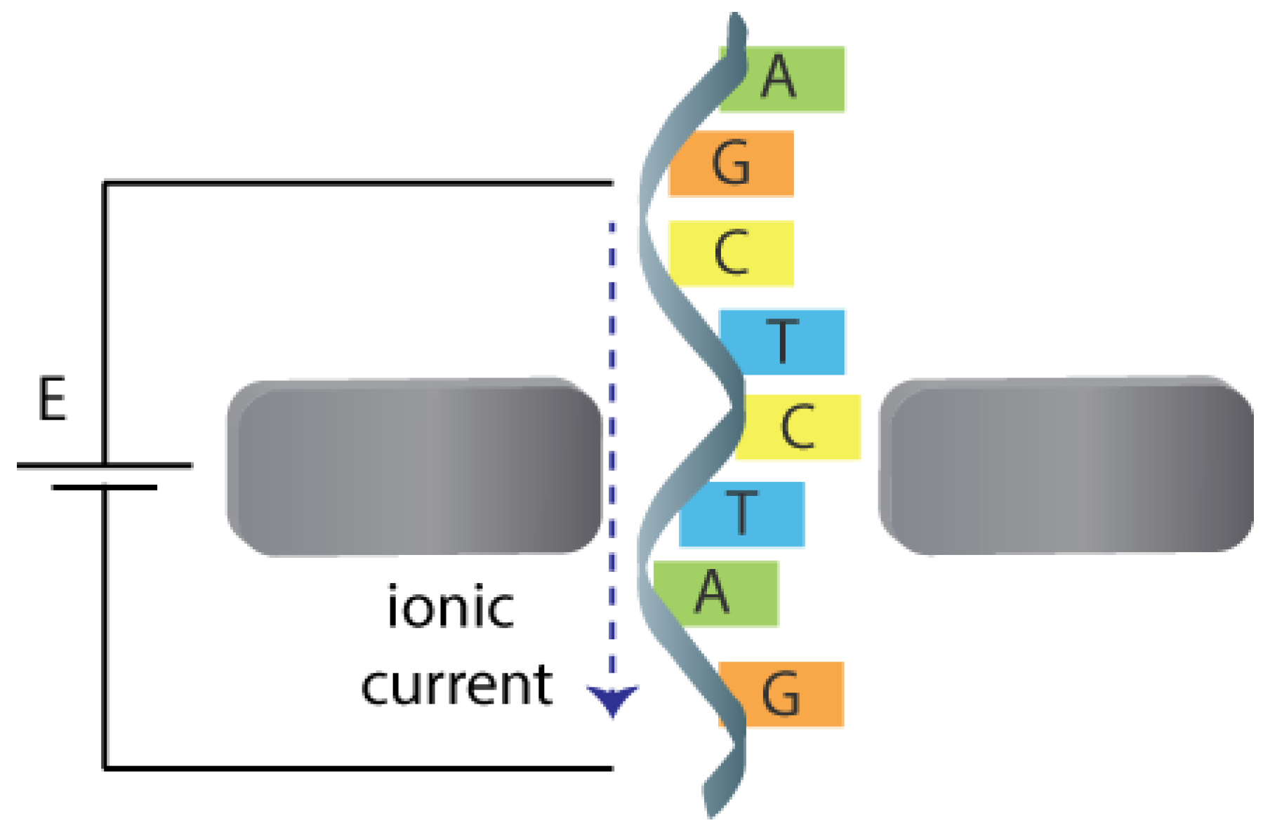 Biosensors 08 00100 g006 Biosensors 08 00100 g006