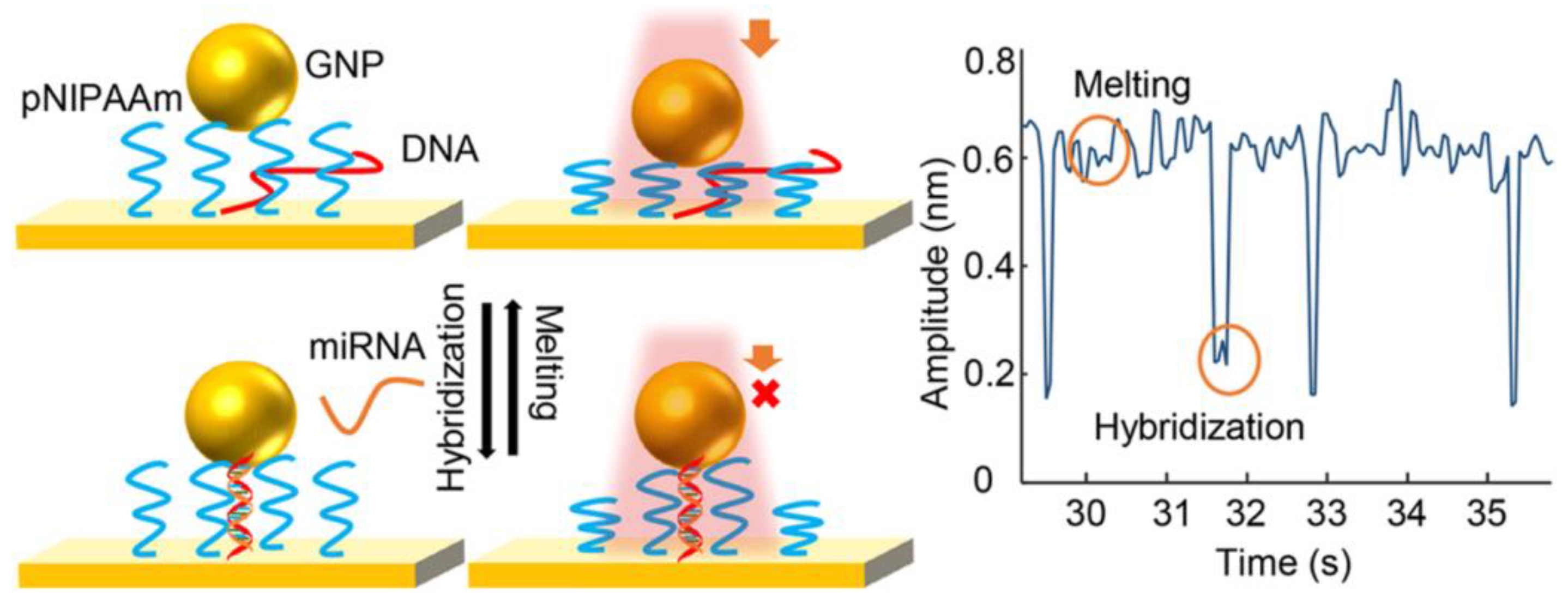 Biosensors 08 00100 g009 Biosensors 08 00100 g009
