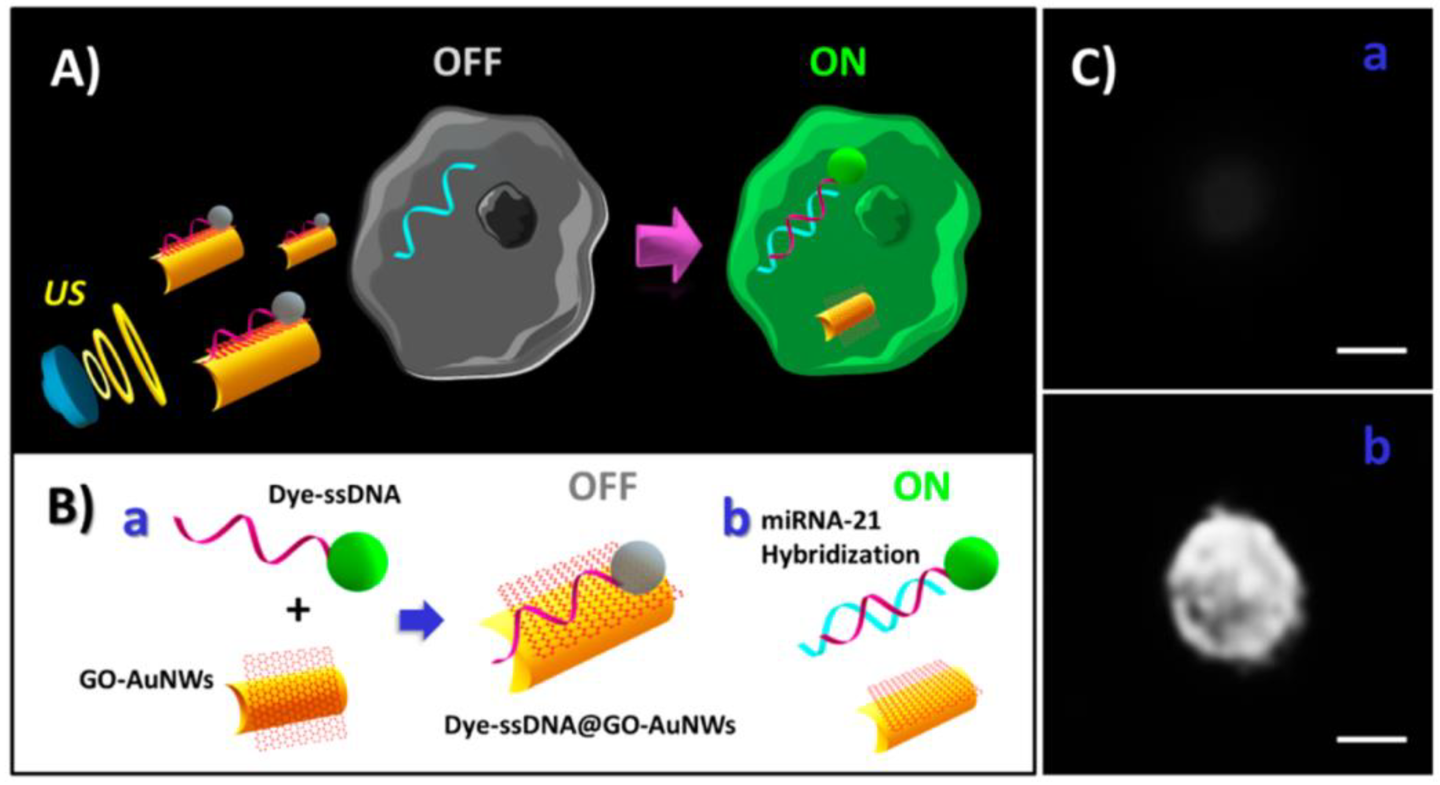 Biosensors 08 00100 g013 Biosensors 08 00100 g013