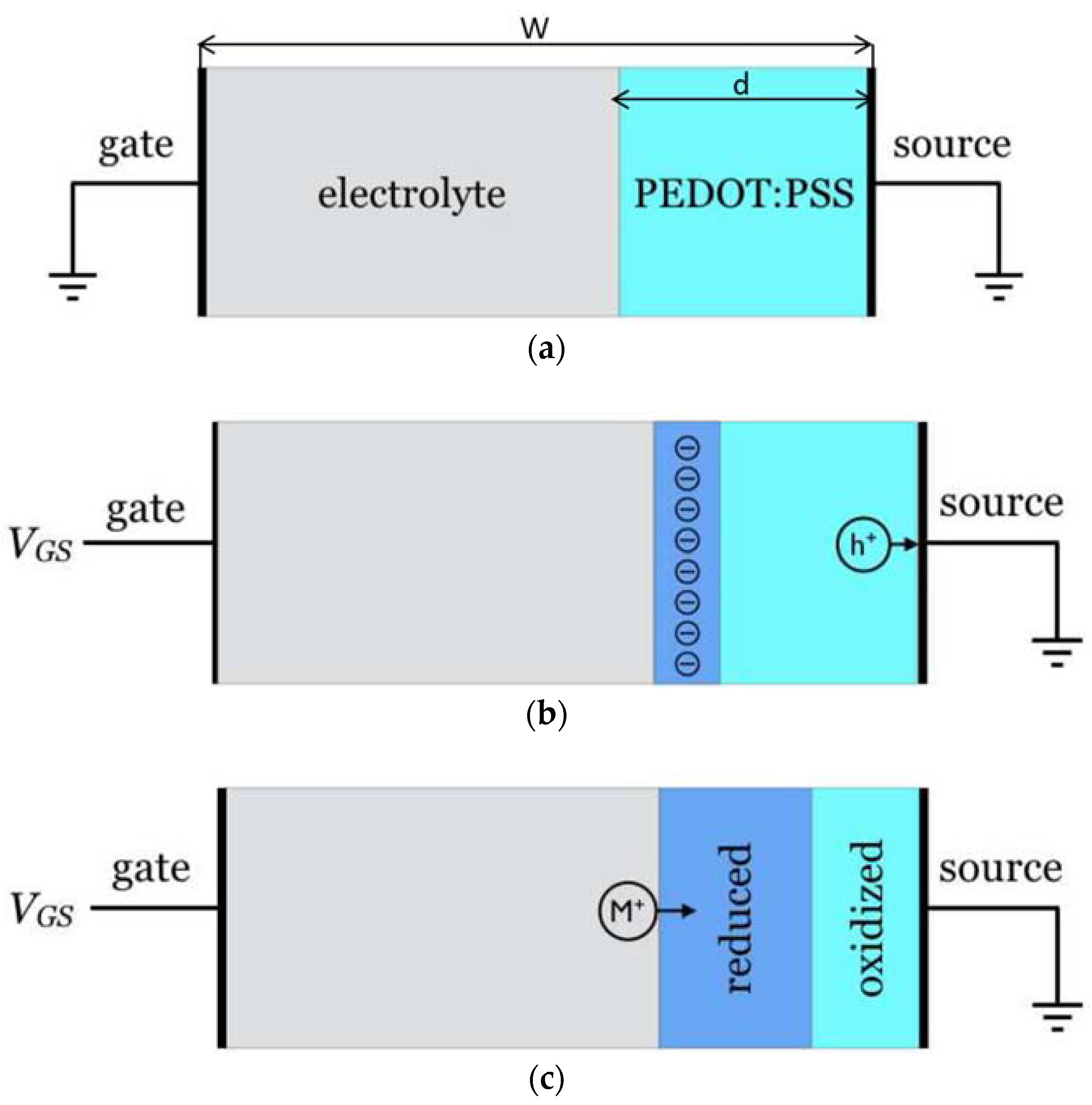 Biosensors 08 00103 g001