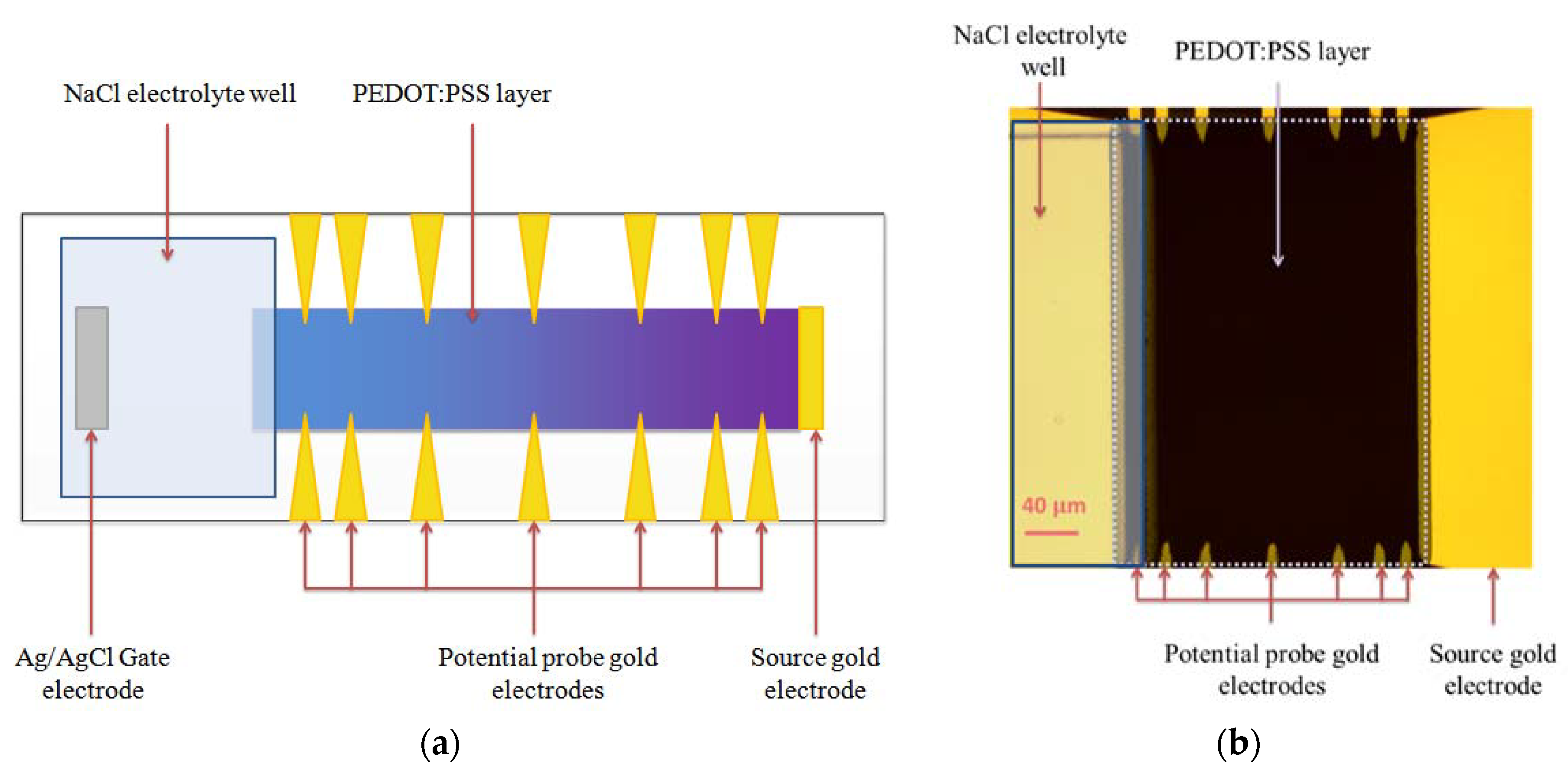 Biosensors 08 00103 g003
