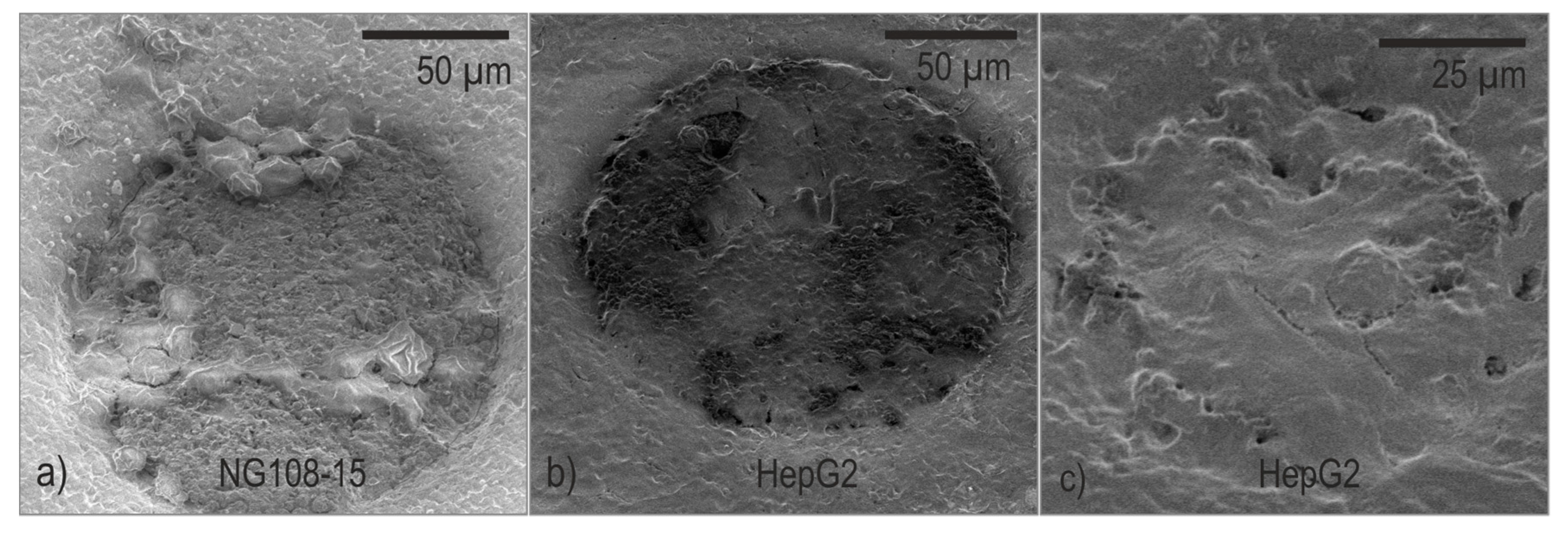 Biosensors 08 00105 g009 550