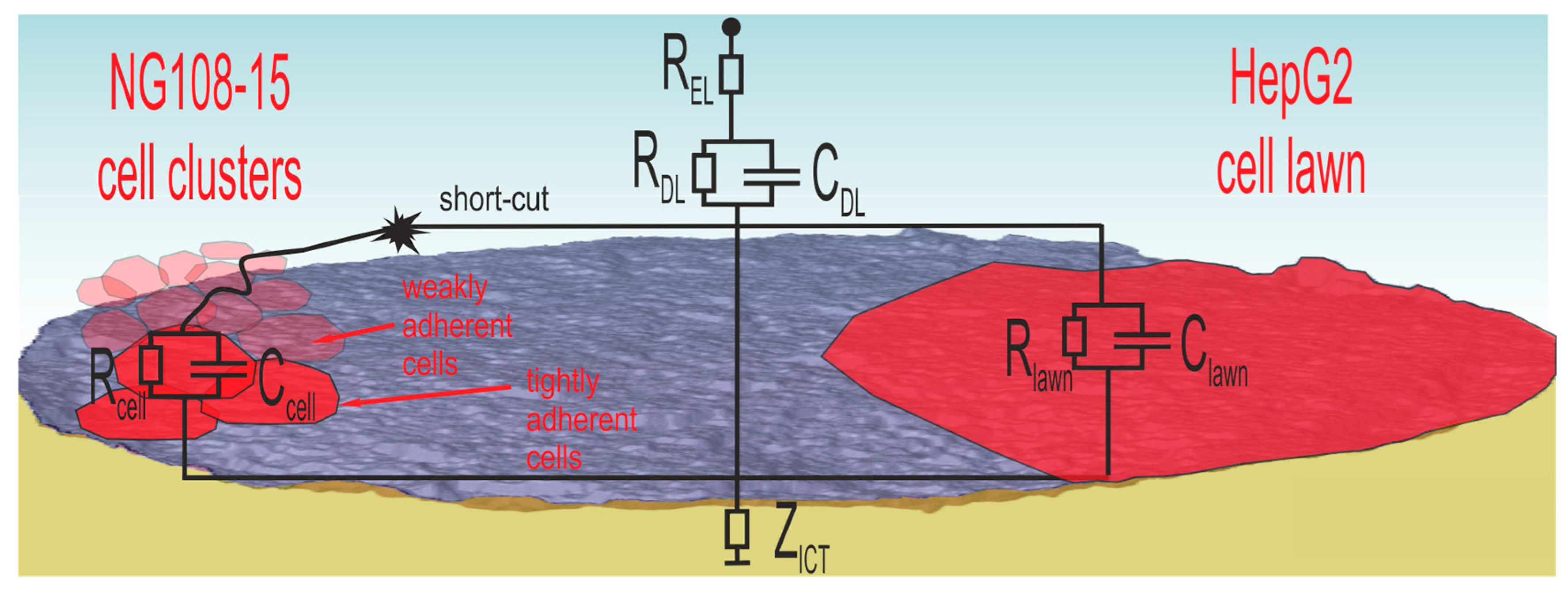 Biosensors 08 00105 g010 550