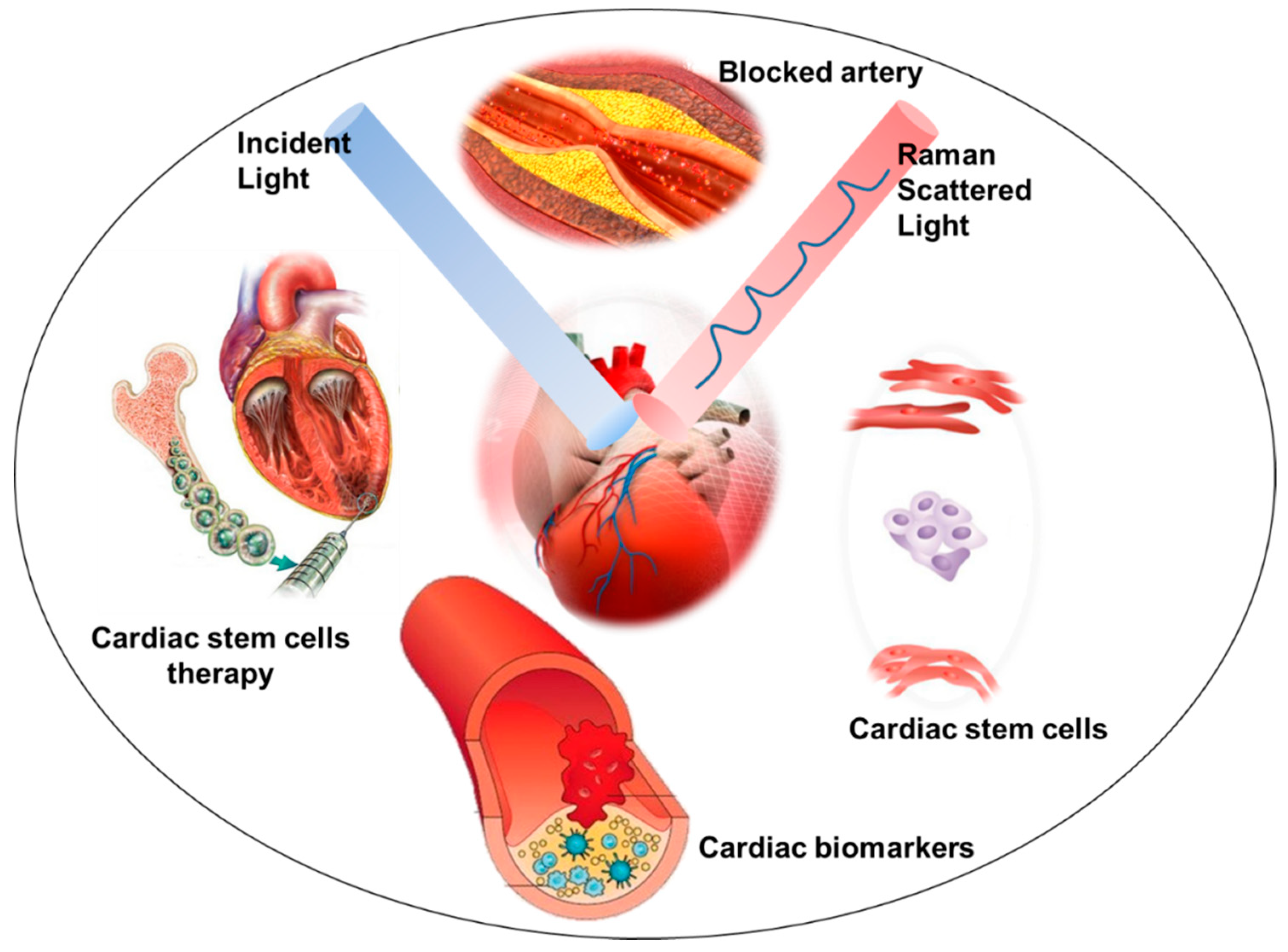 Biosensors 08 00107 g003