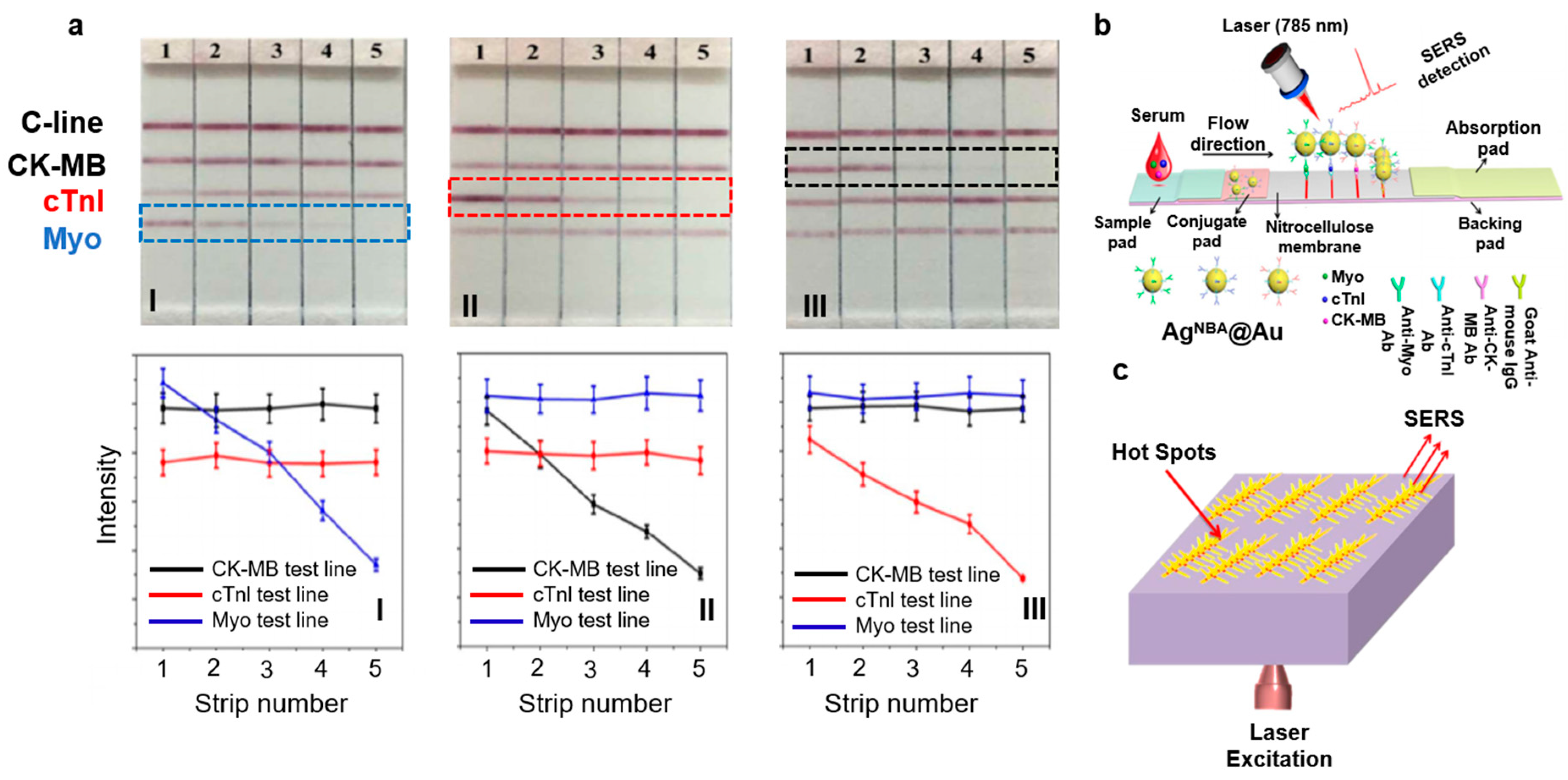 Biosensors 08 00107 g005