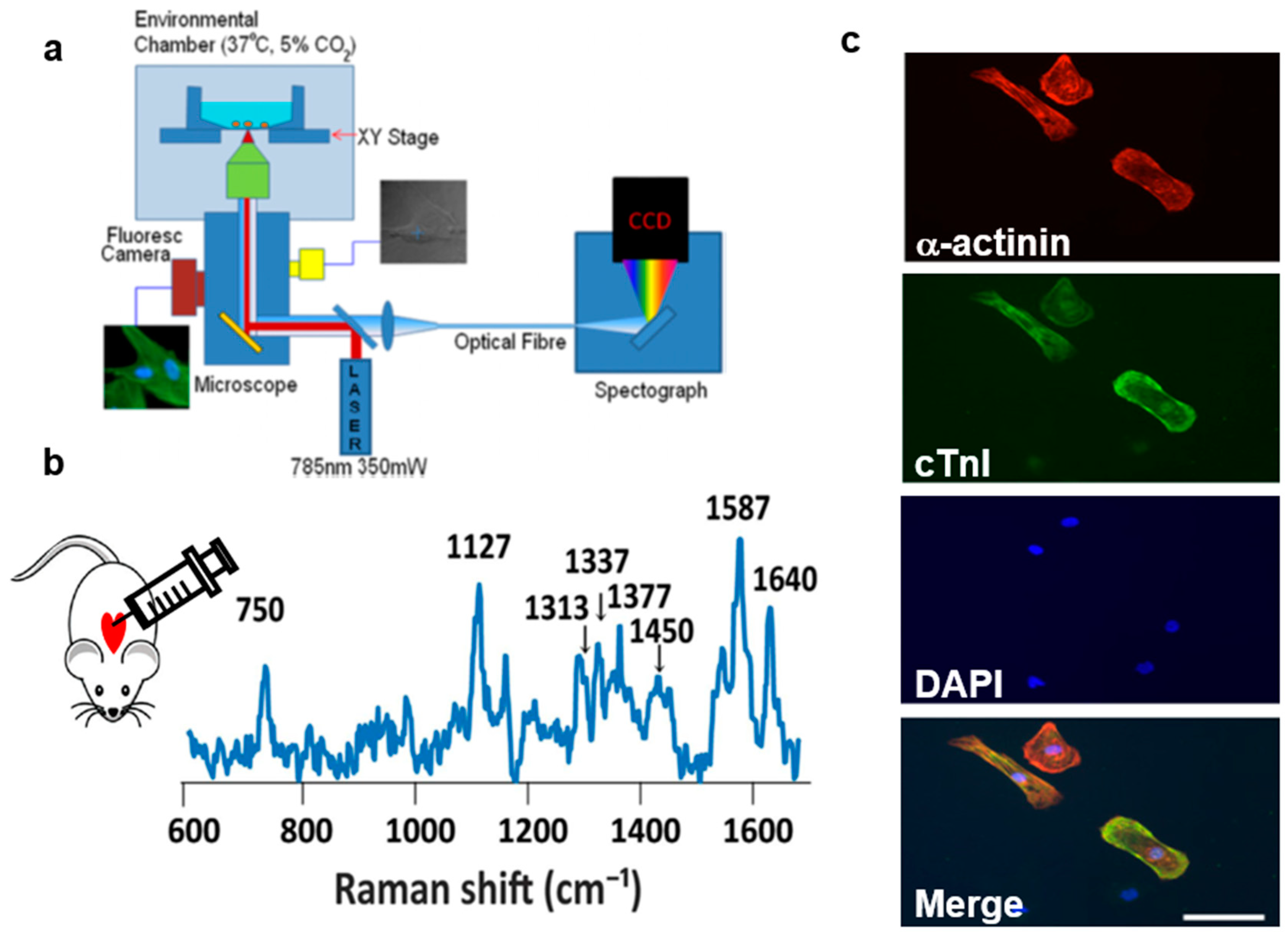 Biosensors 08 00107 g007