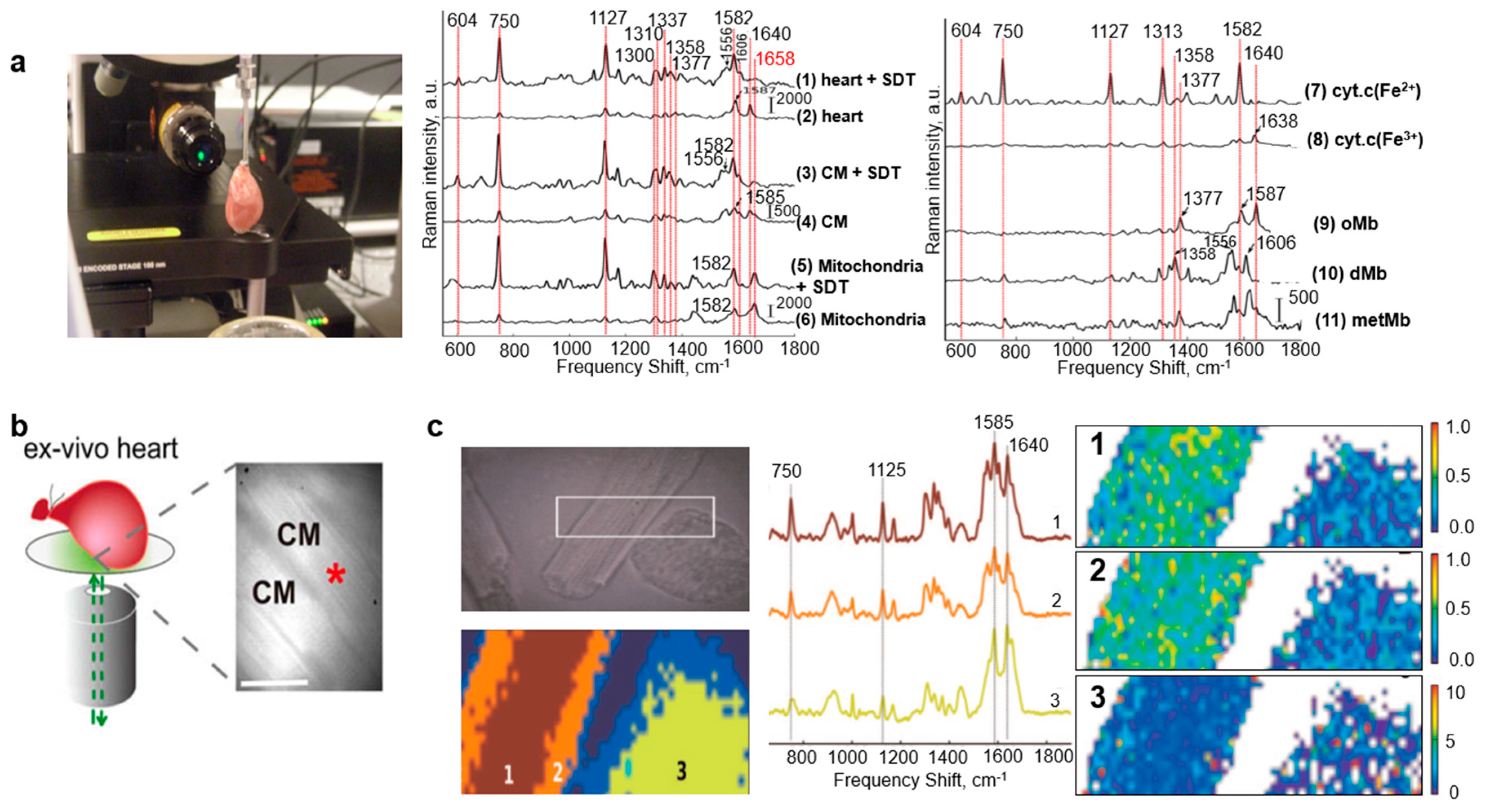 Biosensors 08 00107 g009