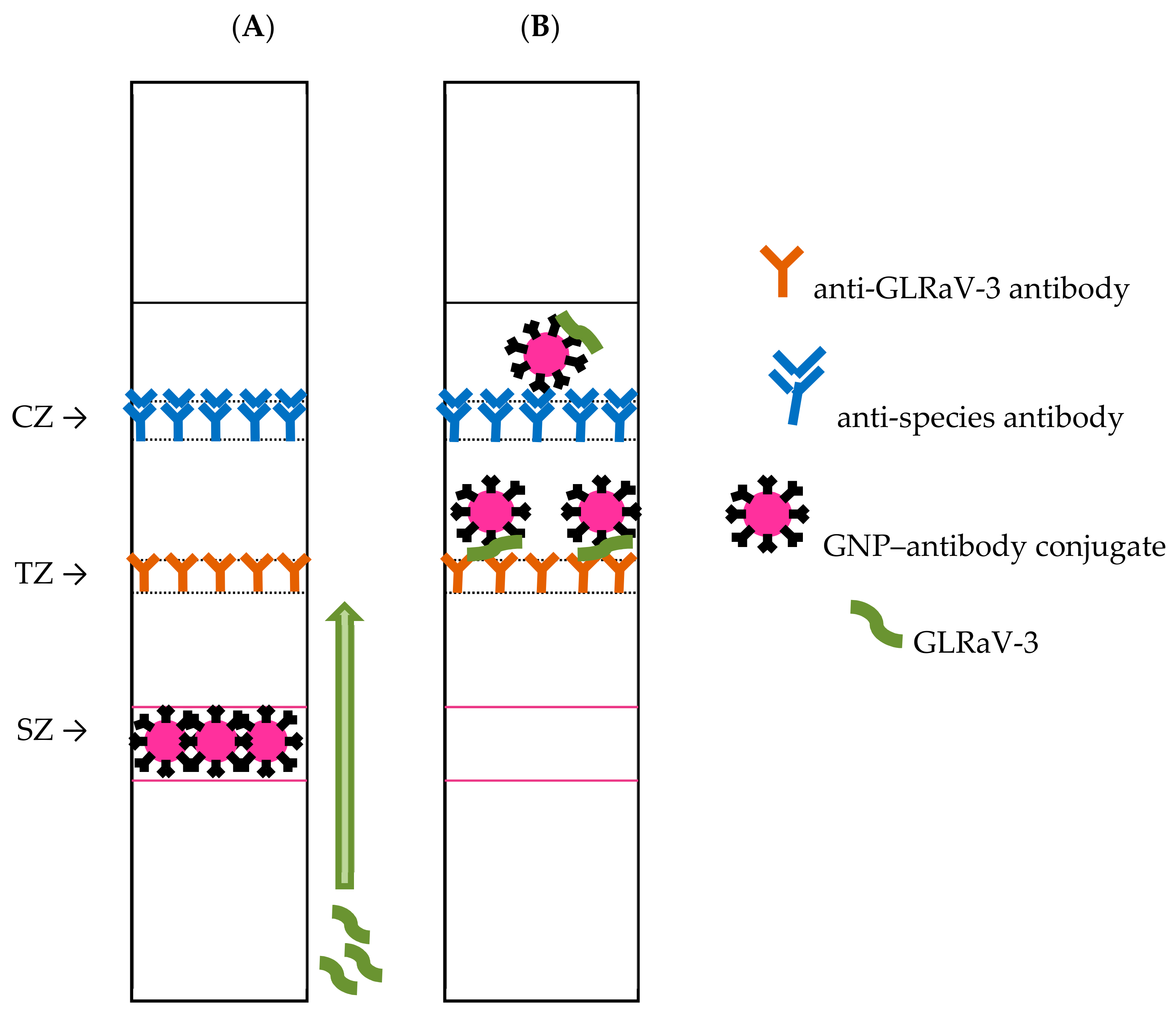 Biosensors 08 00111 g001