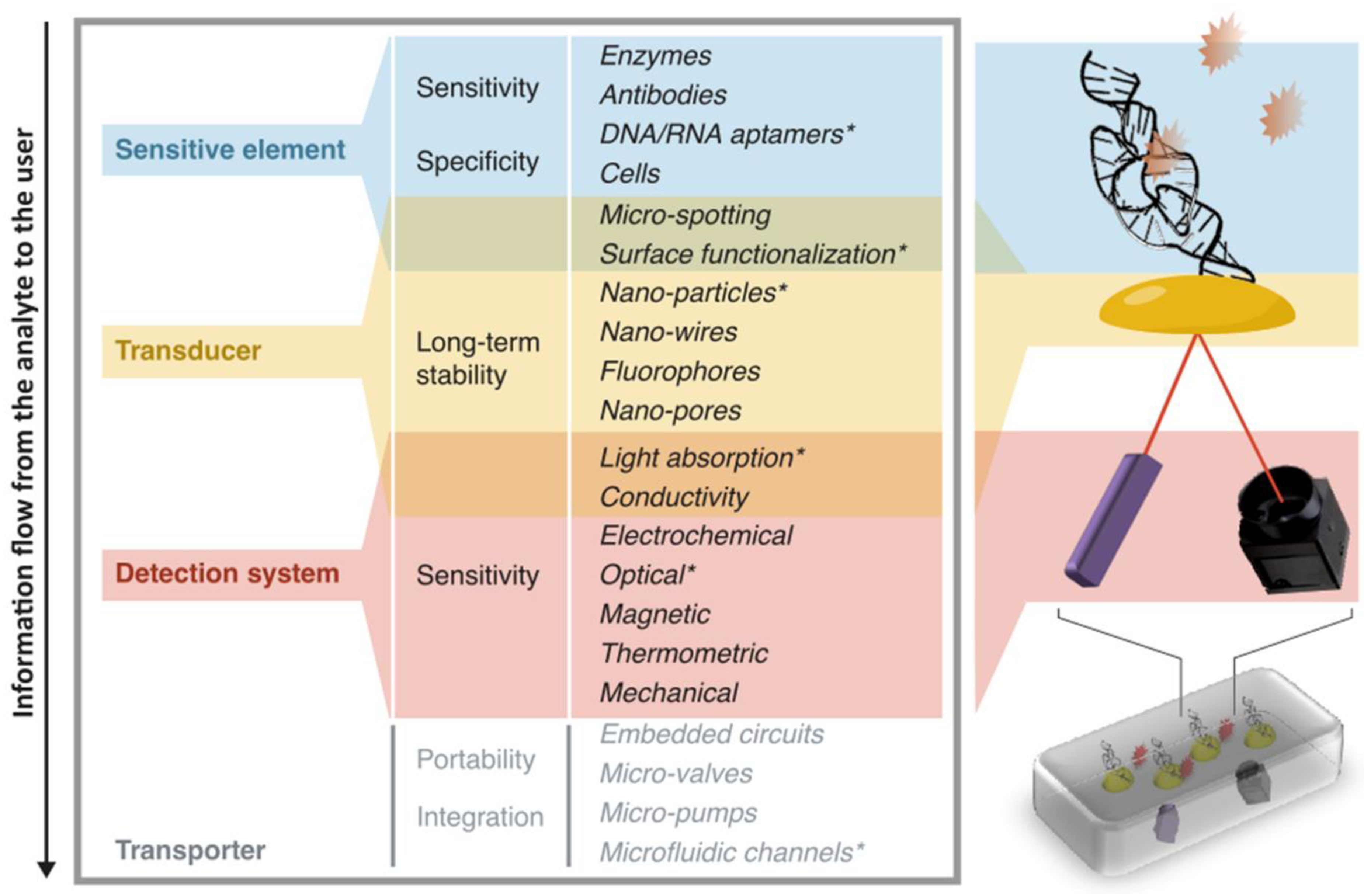 Biosensors 08 00119 g001