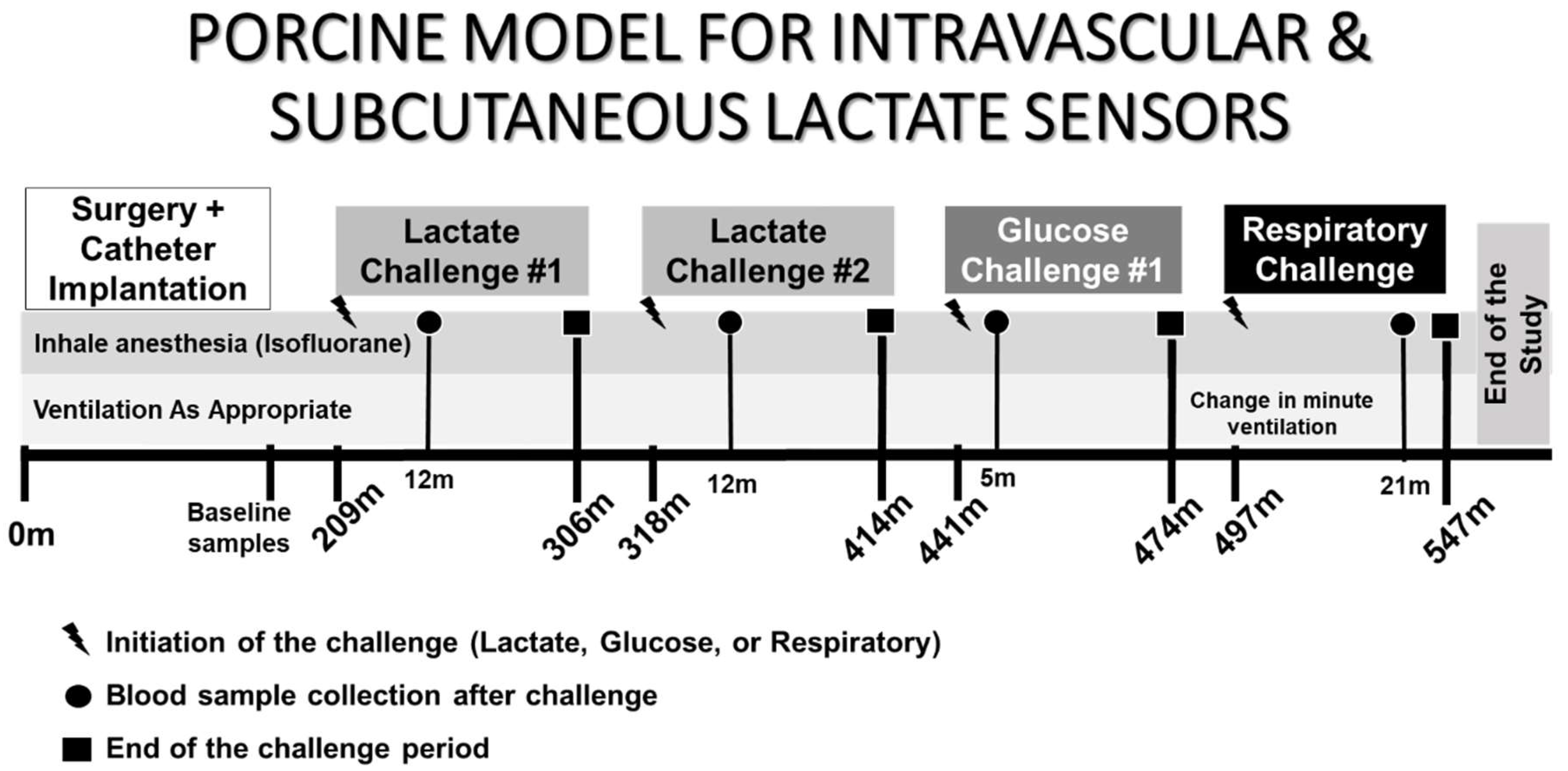 Biosensors 08 00122 g002 Biosensors 08 00122 g002