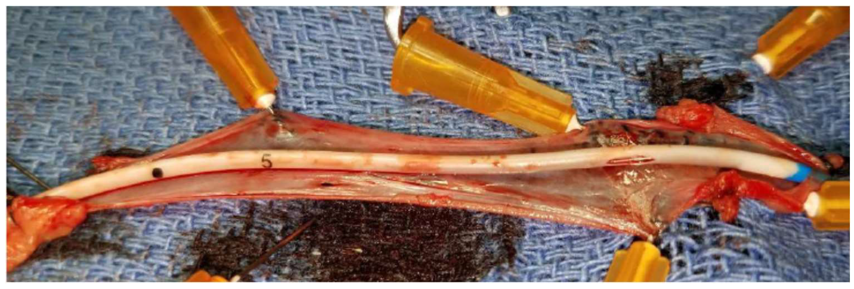 Biosensors 08 00122 g010 Biosensors 08 00122 g010