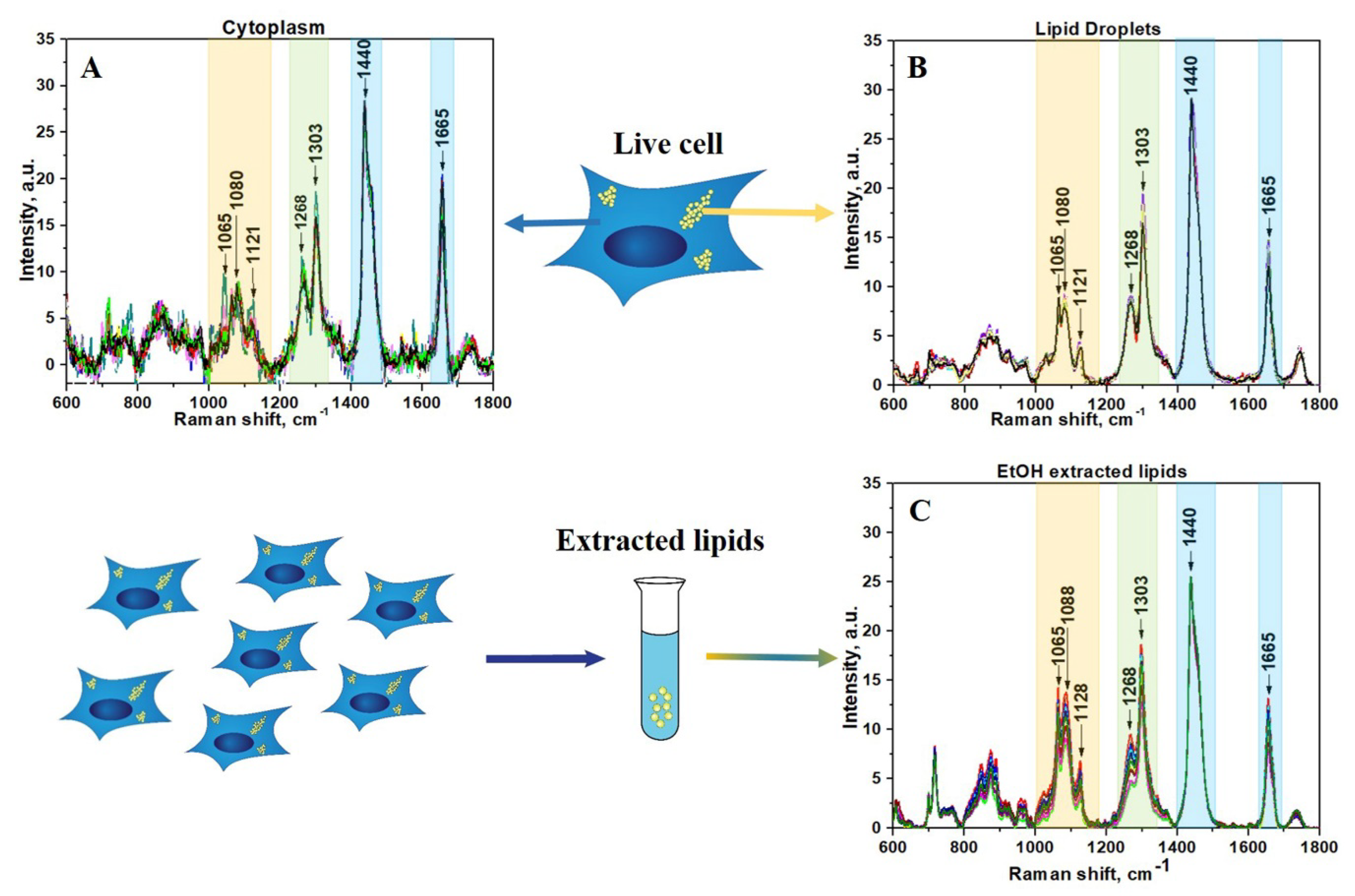 Biosensors 08 00123 g001