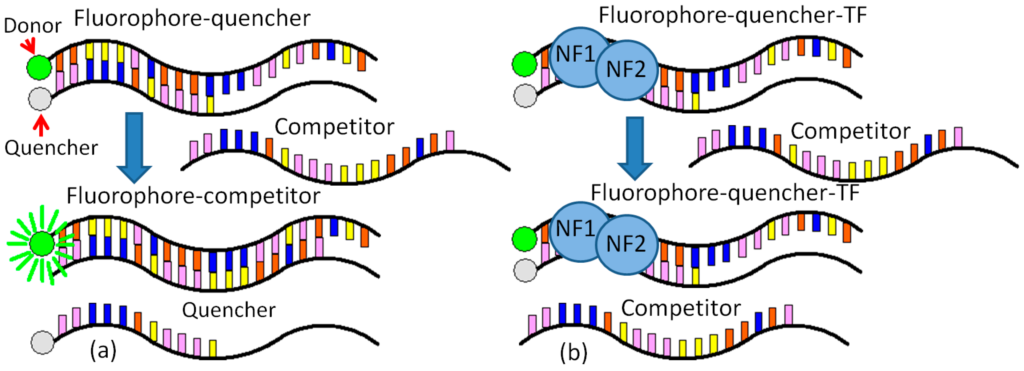 Biosensors 08 00126 g001