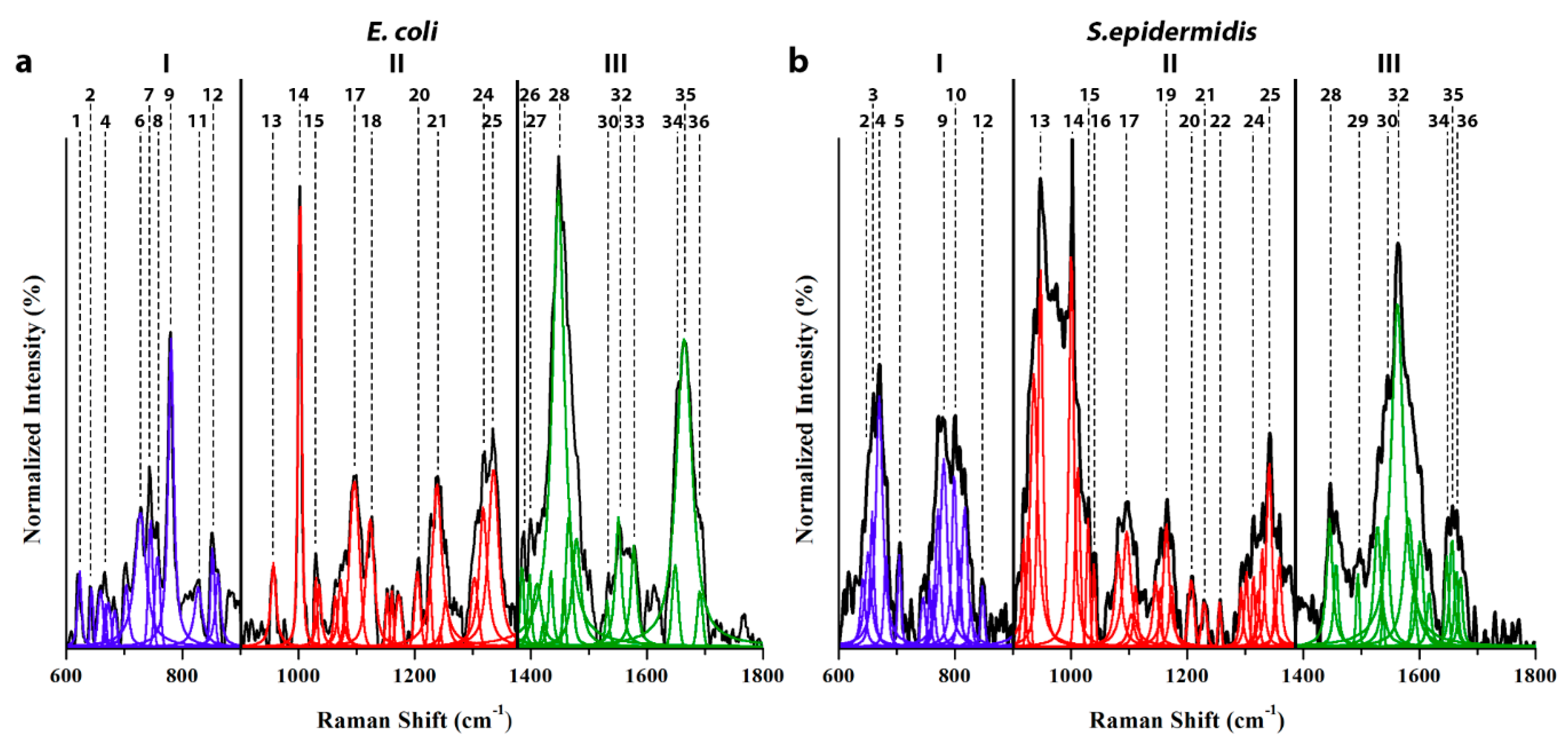 Biosensors 08 00131 g002