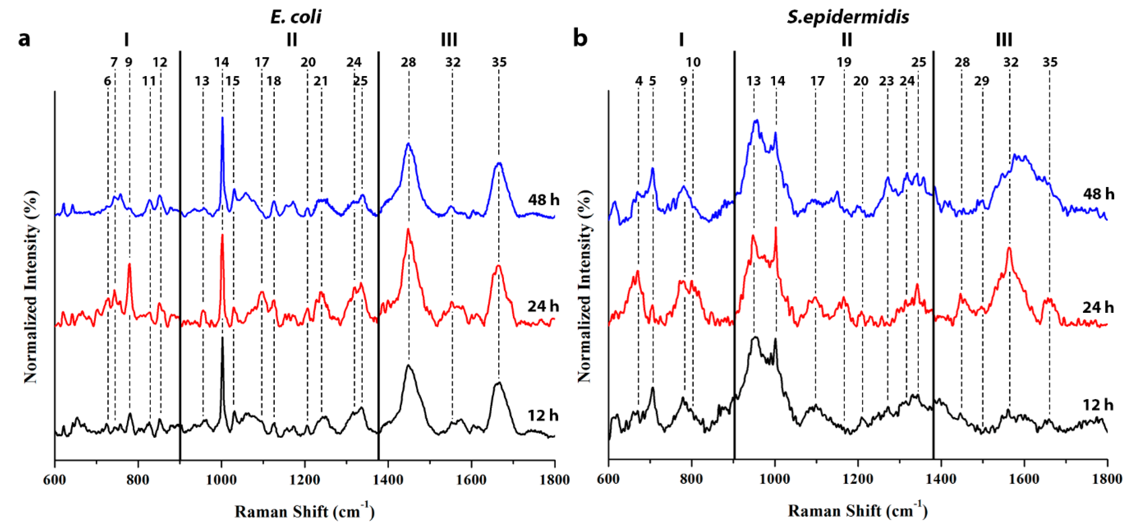 Biosensors Free Full Text Label Free Sers Discrimination And In Situ Analysis Of Life Cycle In Escherichia Coli And Staphylococcus Epidermidis Html Biosensors Free Full Text Label Free Sers Discrimination And In Situ Analysis Of Life Cycle In Escherichia Coli And Staphylococcus Epidermidis Html