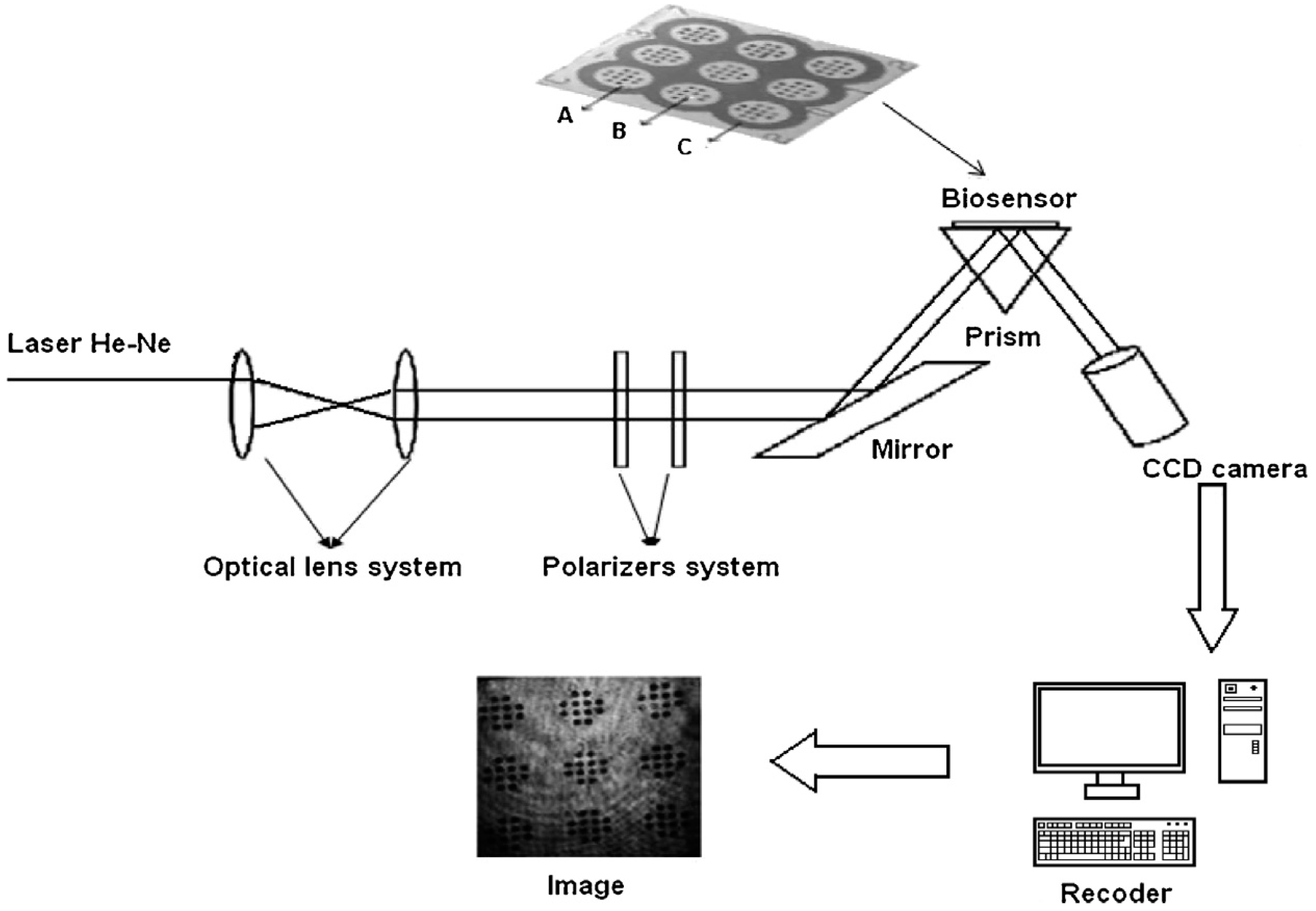 Biosensors 08 00132 g003