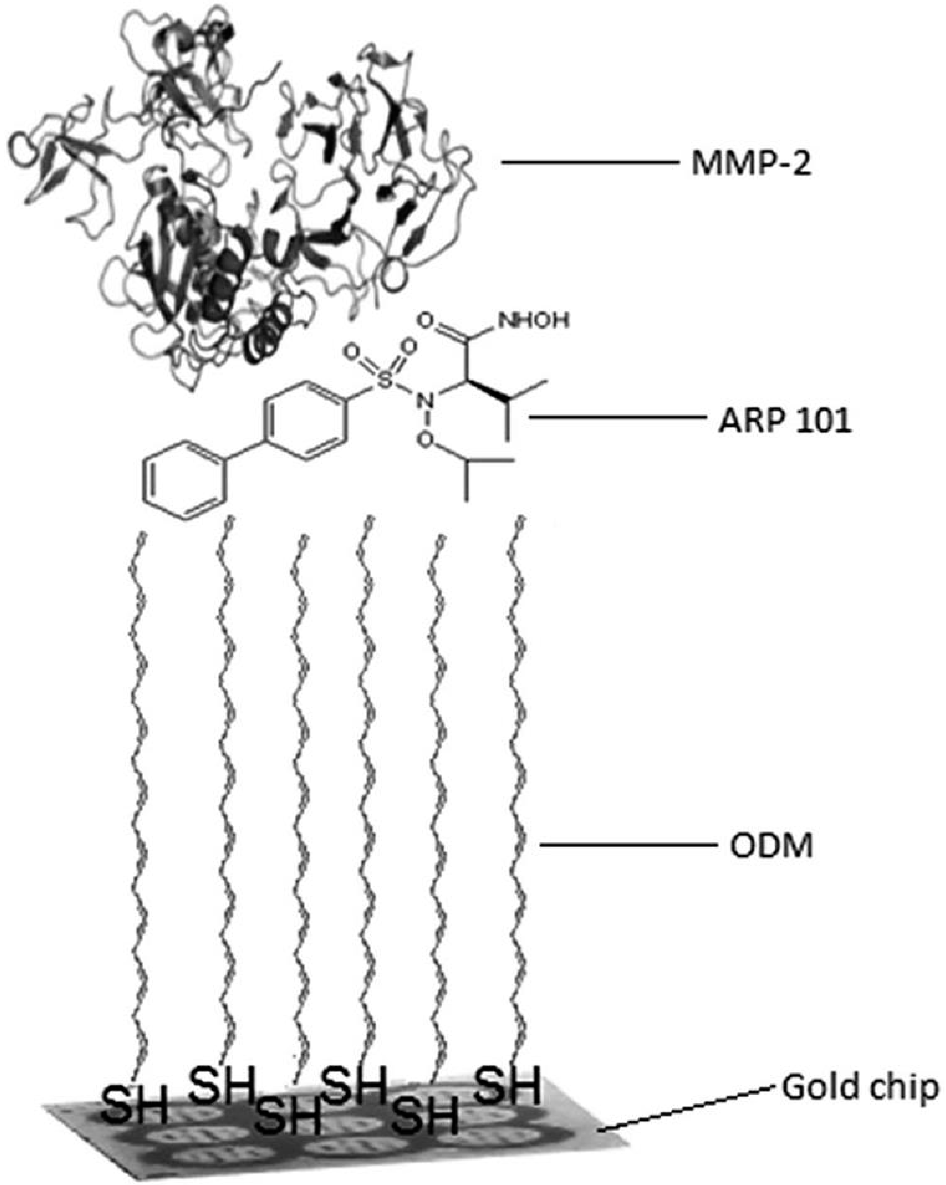 Biosensors ppt picture