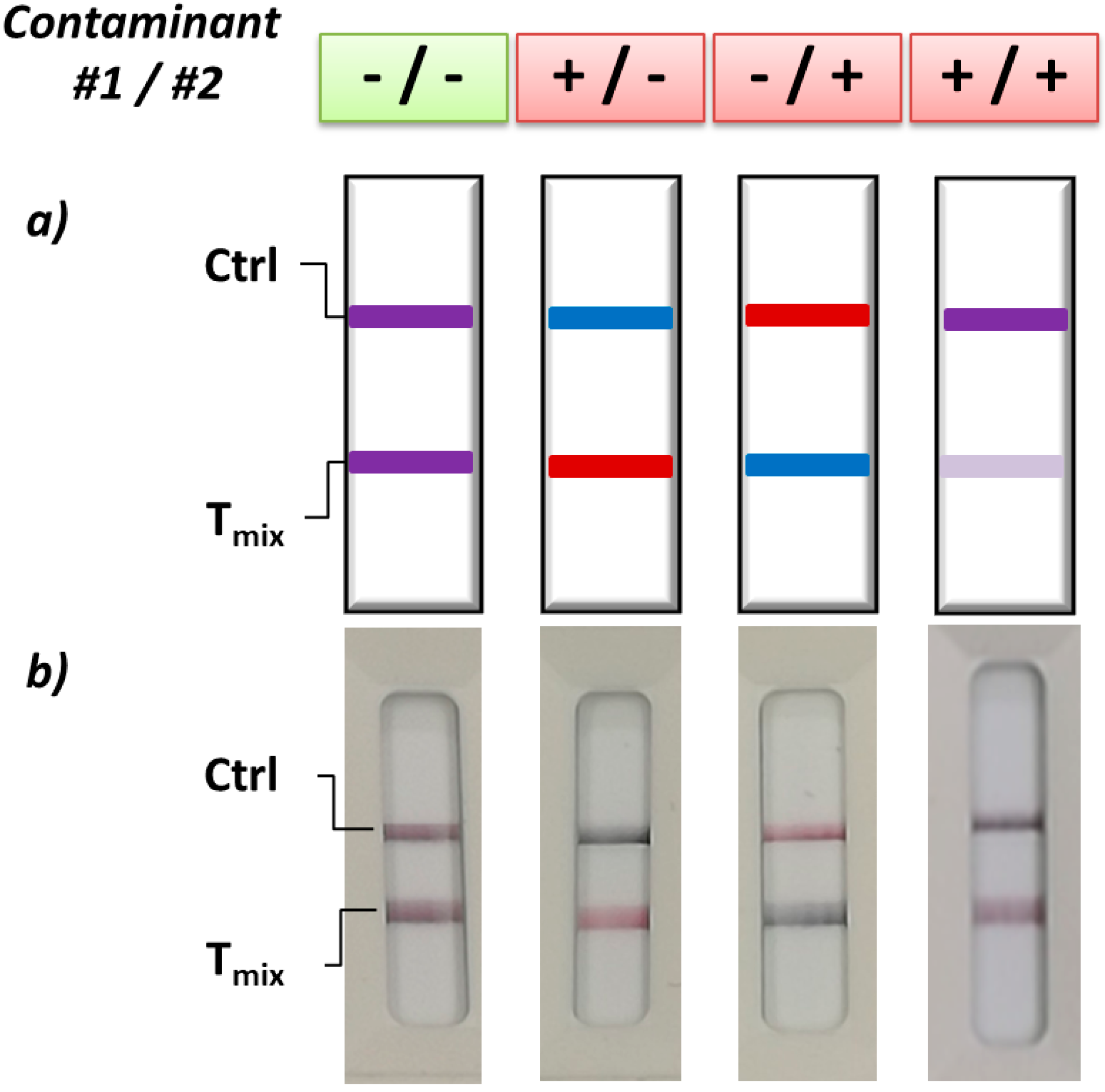 Biosensors 09 00002 g006