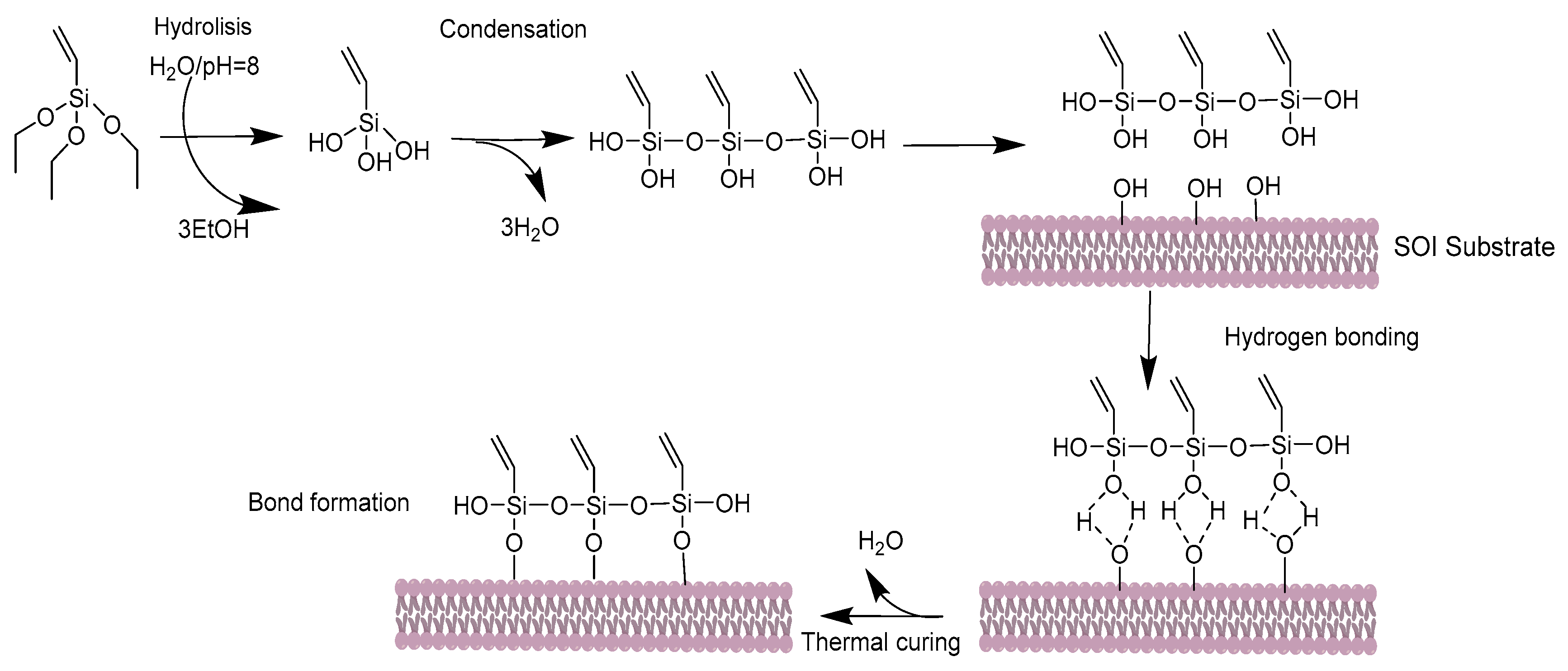 Biosensors 09 00006 g001