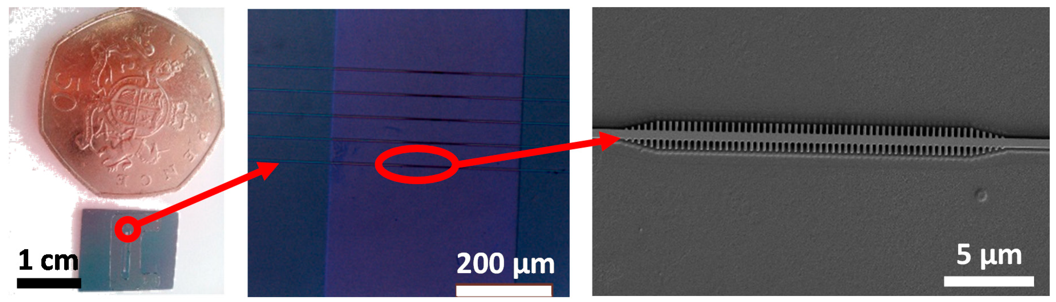 Biosensors 09 00006 g003