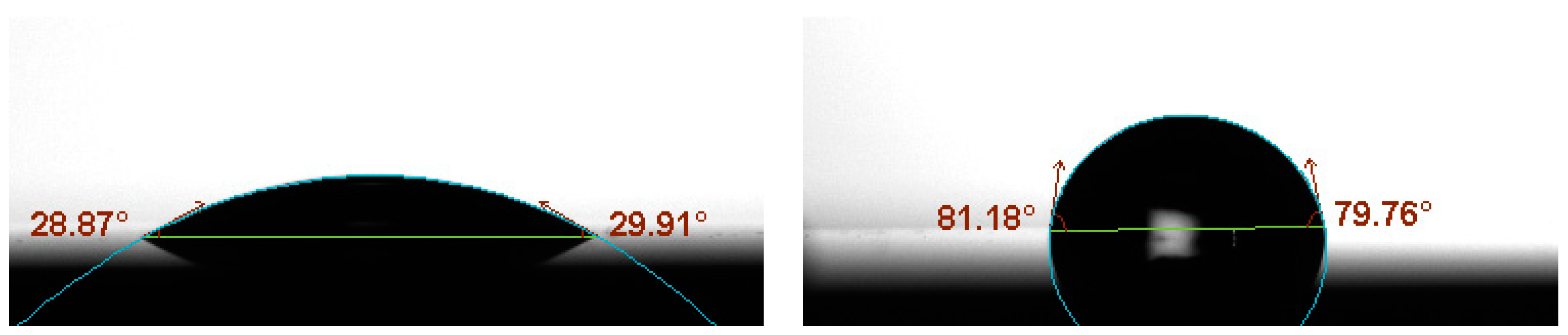 Biosensors 09 00006 g006