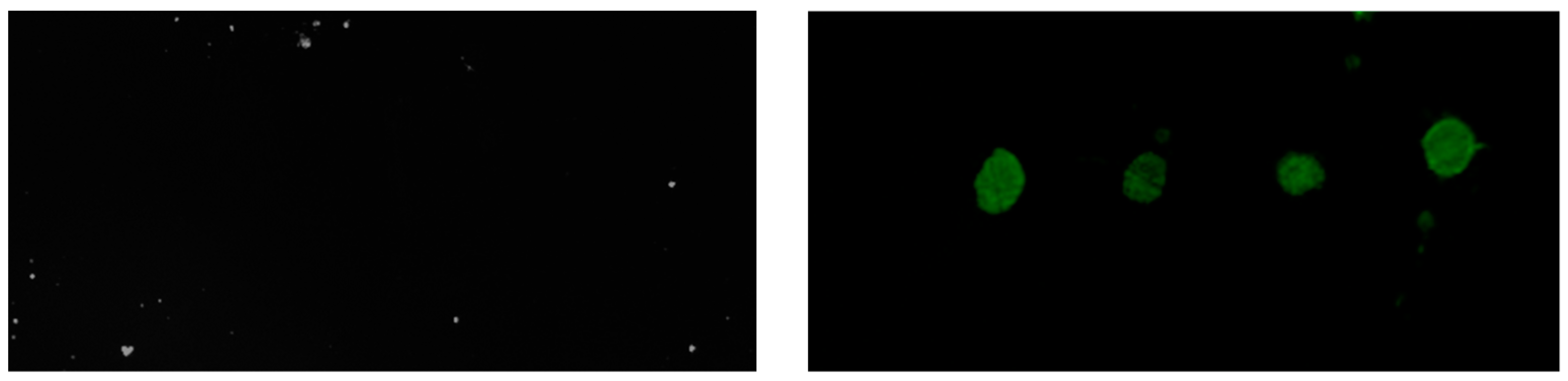 Biosensors 09 00006 g009