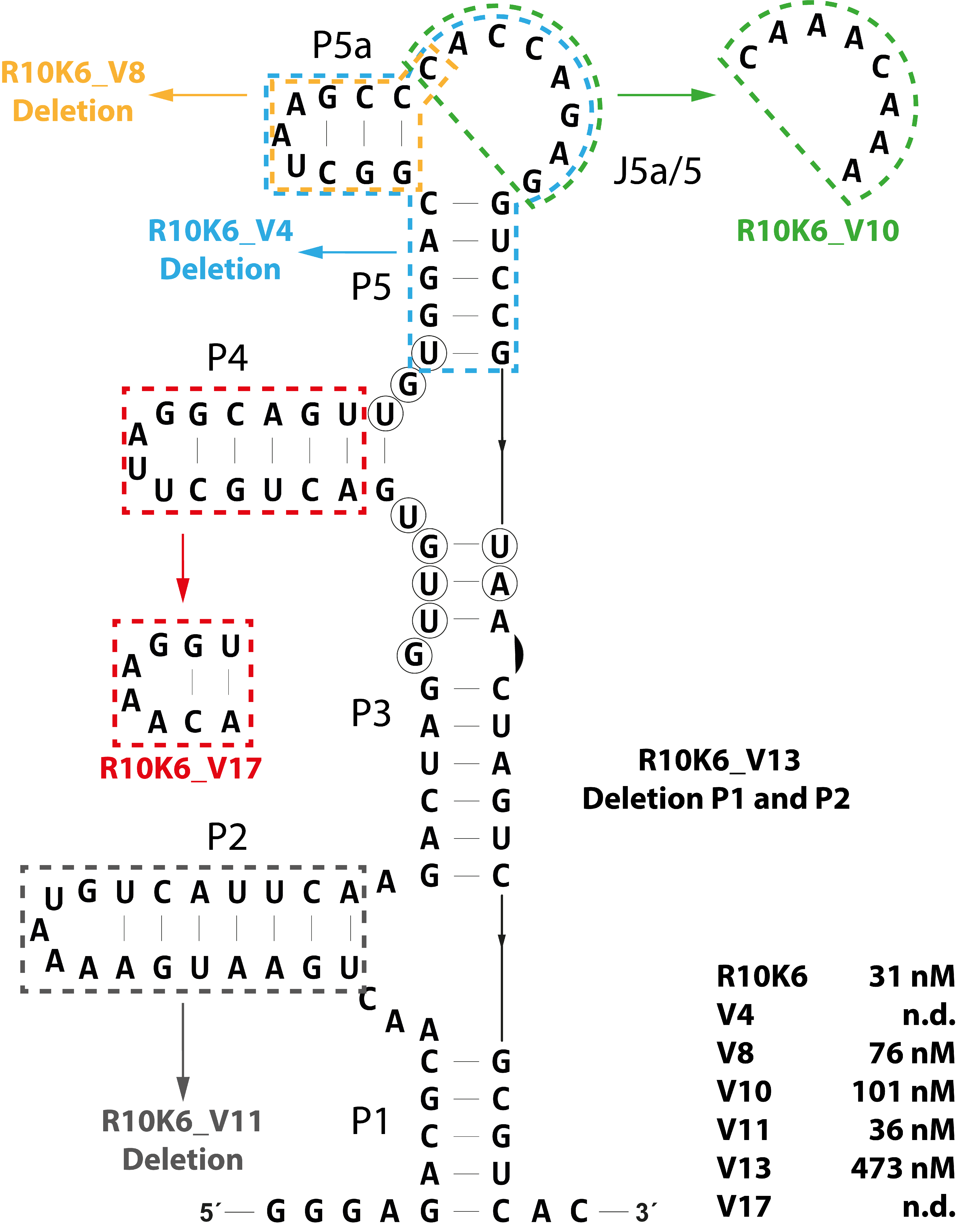 Biosensors 09 00007 g003