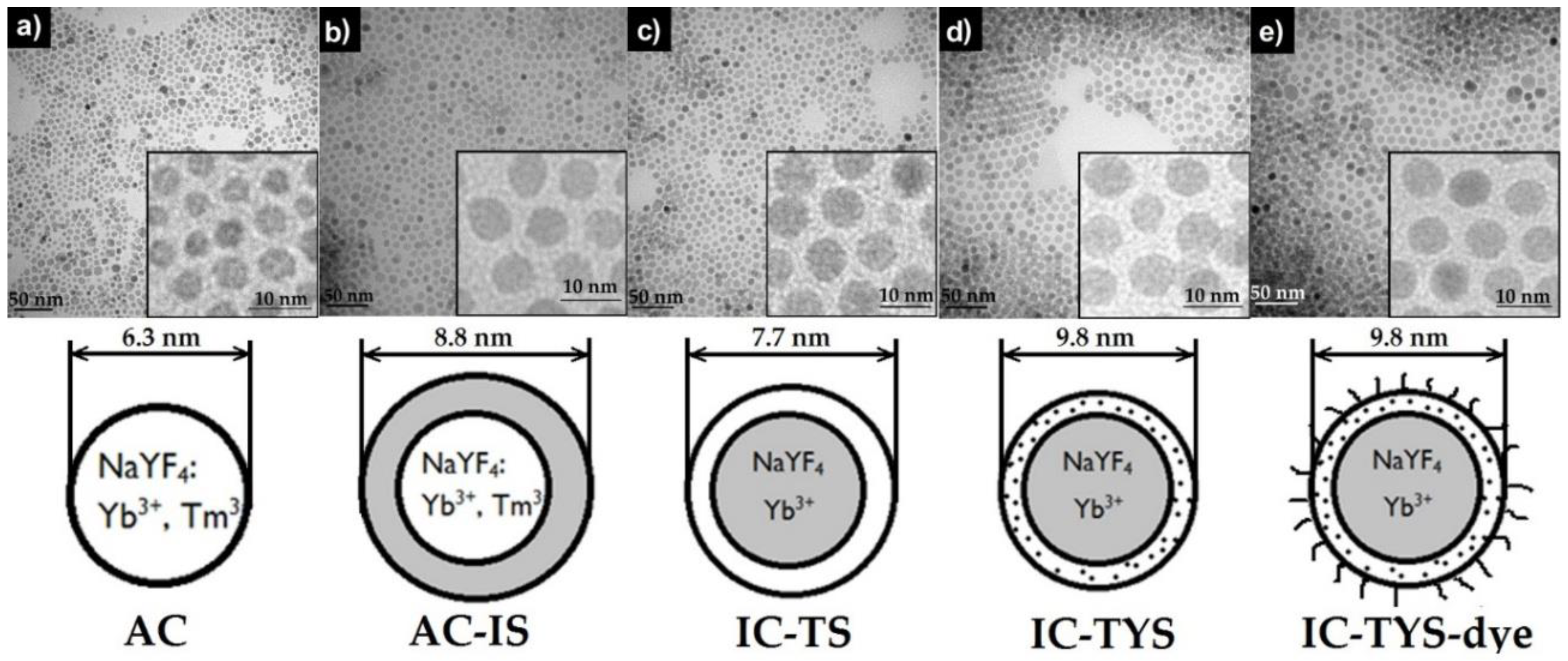 Biosensors 09 00009 g002