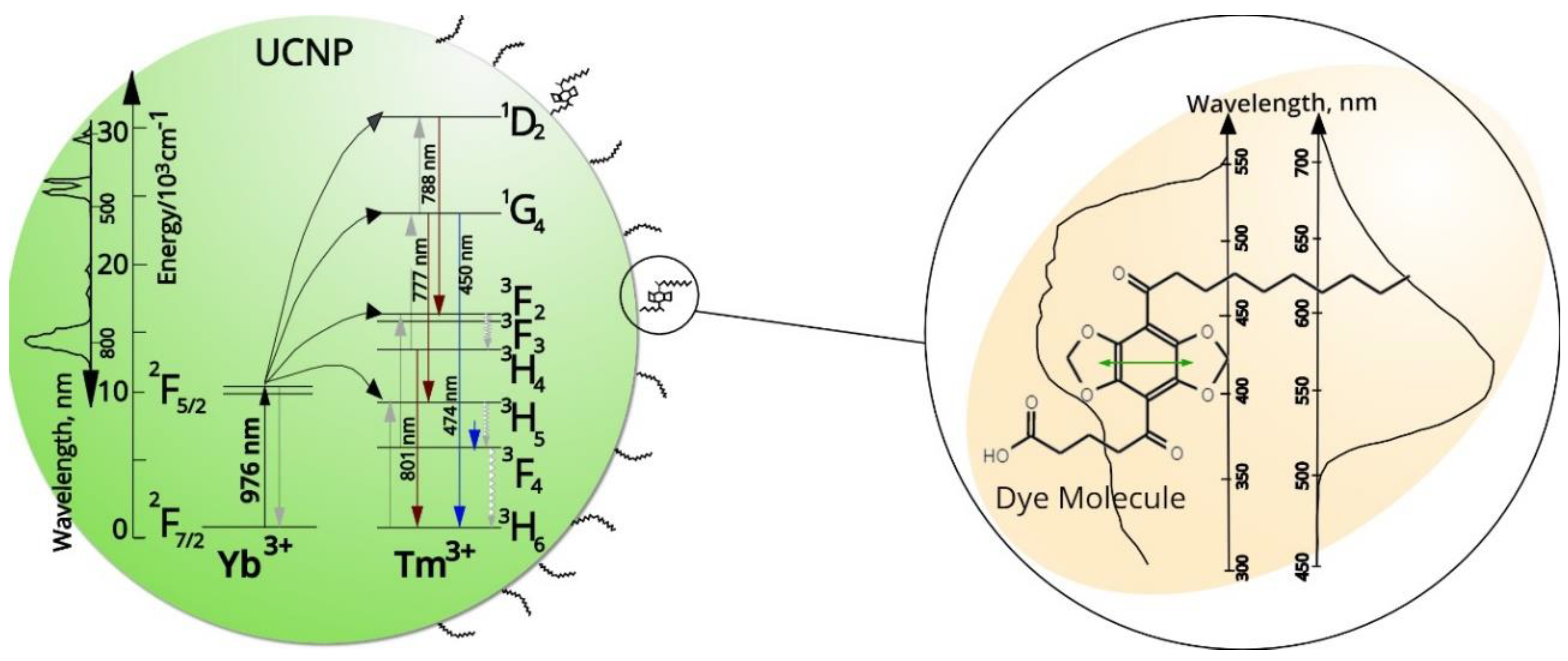 Biosensors 09 00009 g003