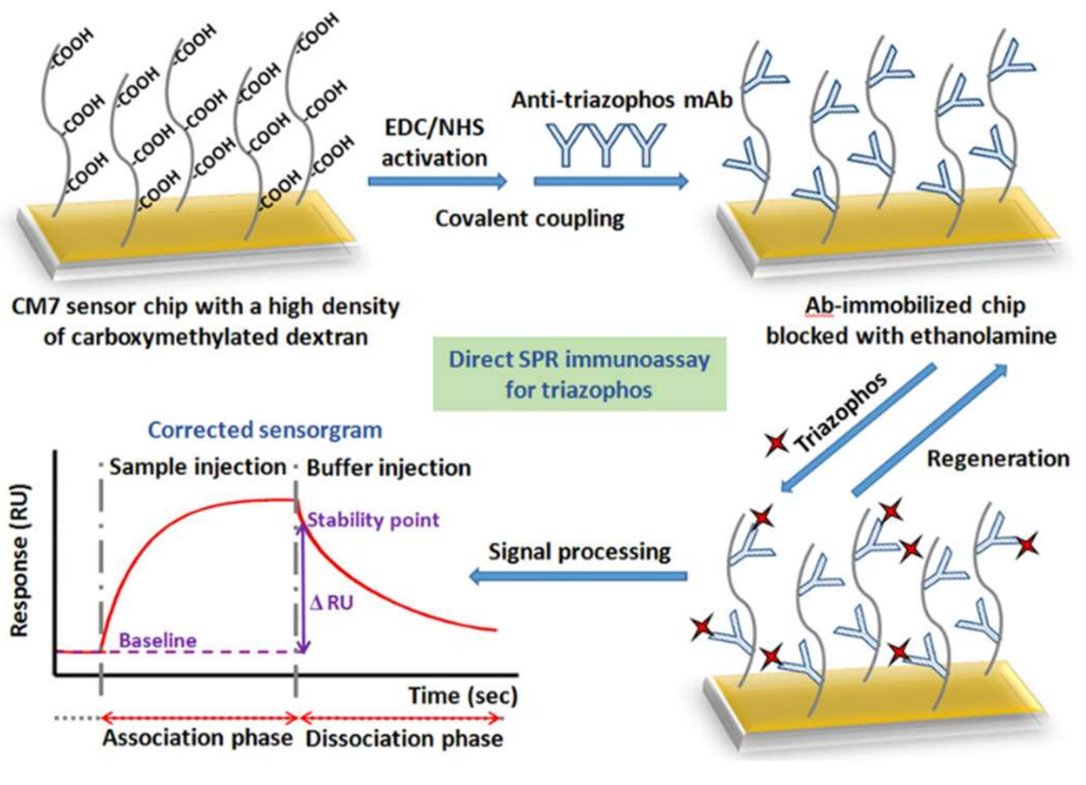 Biosensors 09 00020 g003 Biosensors 09 00020 g003