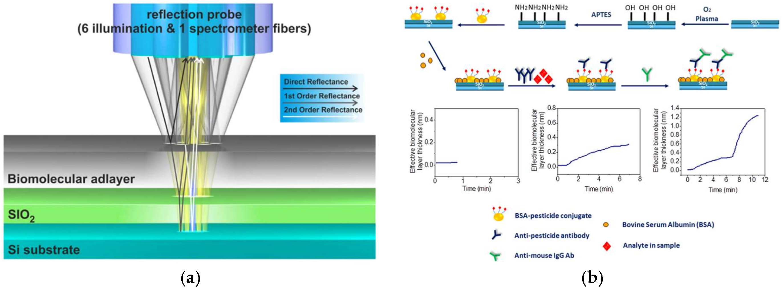 Biosensors 09 00020 g004 Biosensors 09 00020 g004