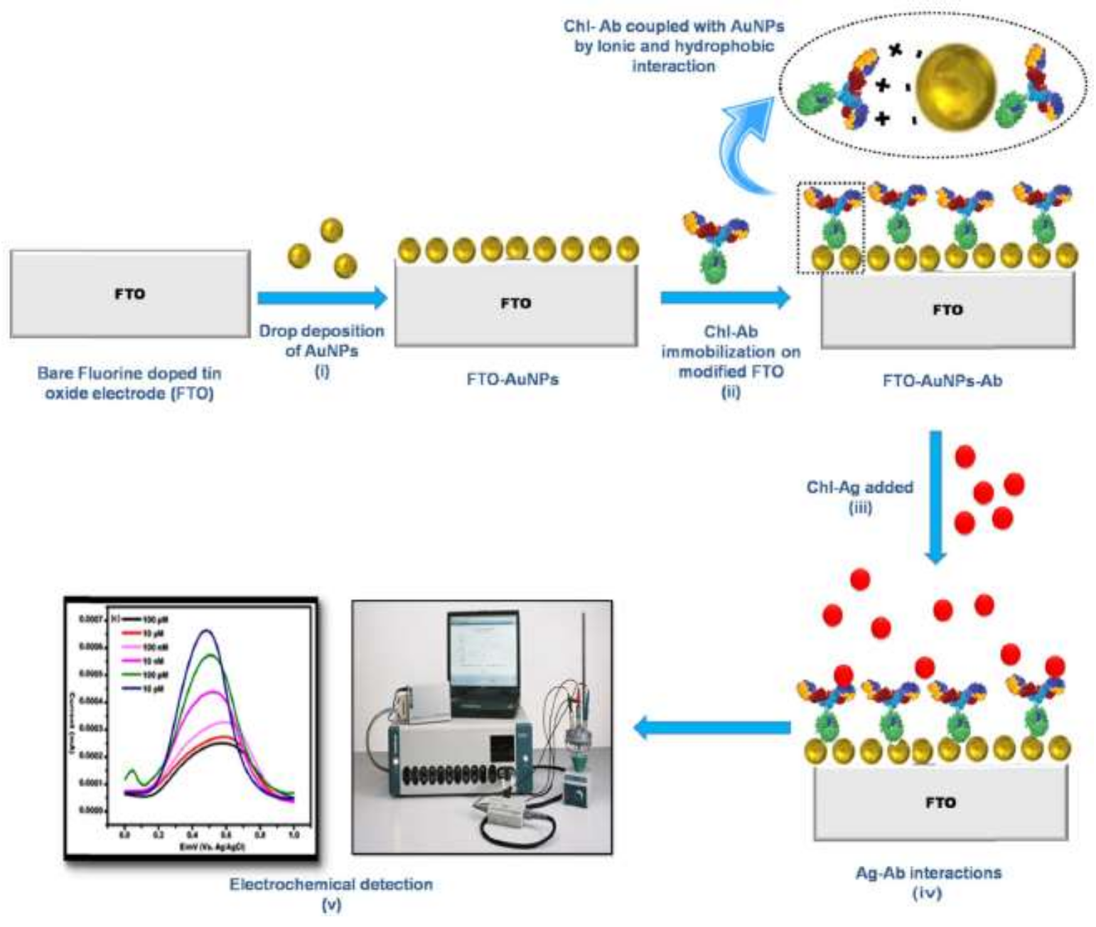 Biosensors 09 00020 g006 Biosensors 09 00020 g006