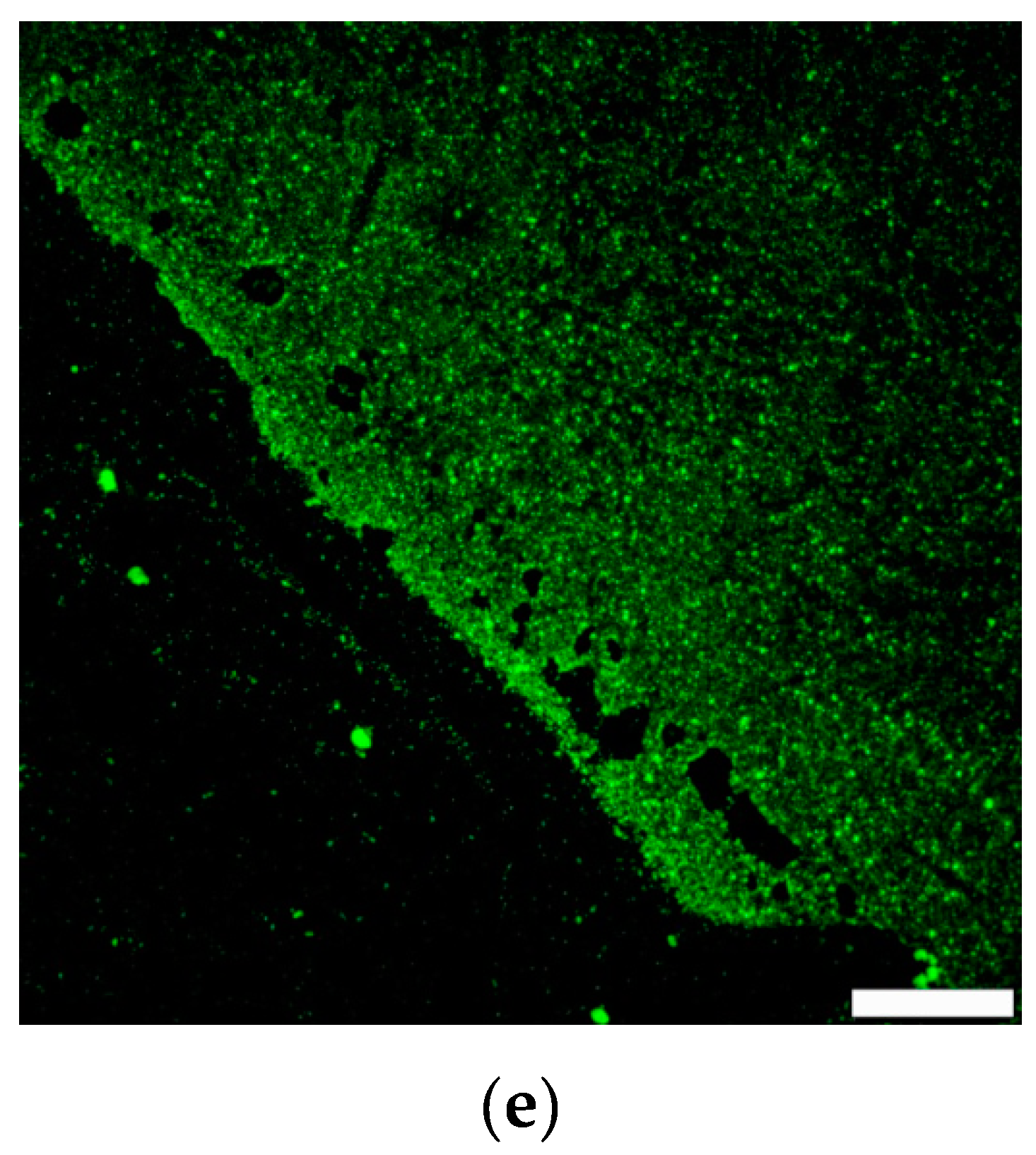 Biosensors 09 00024 g002b